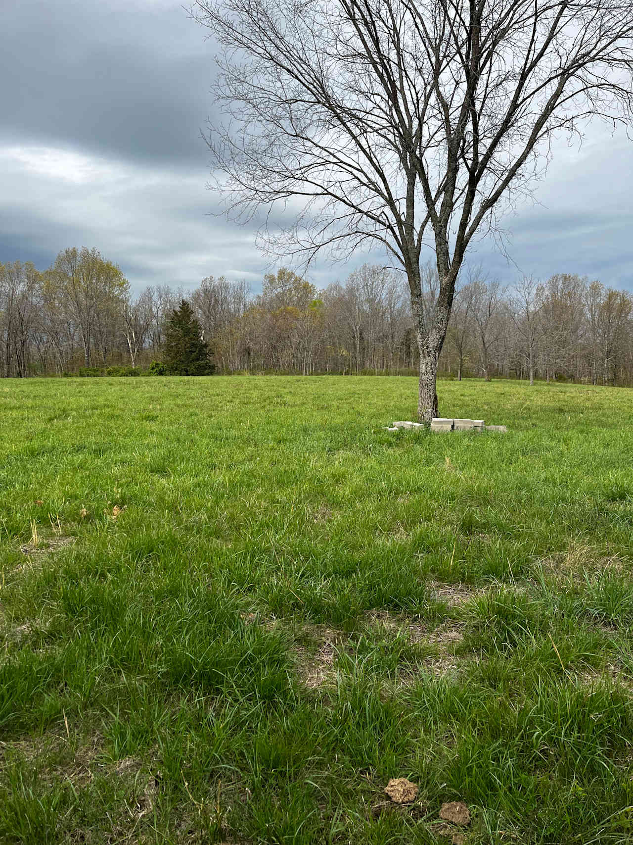 Wildwoods Farmstead