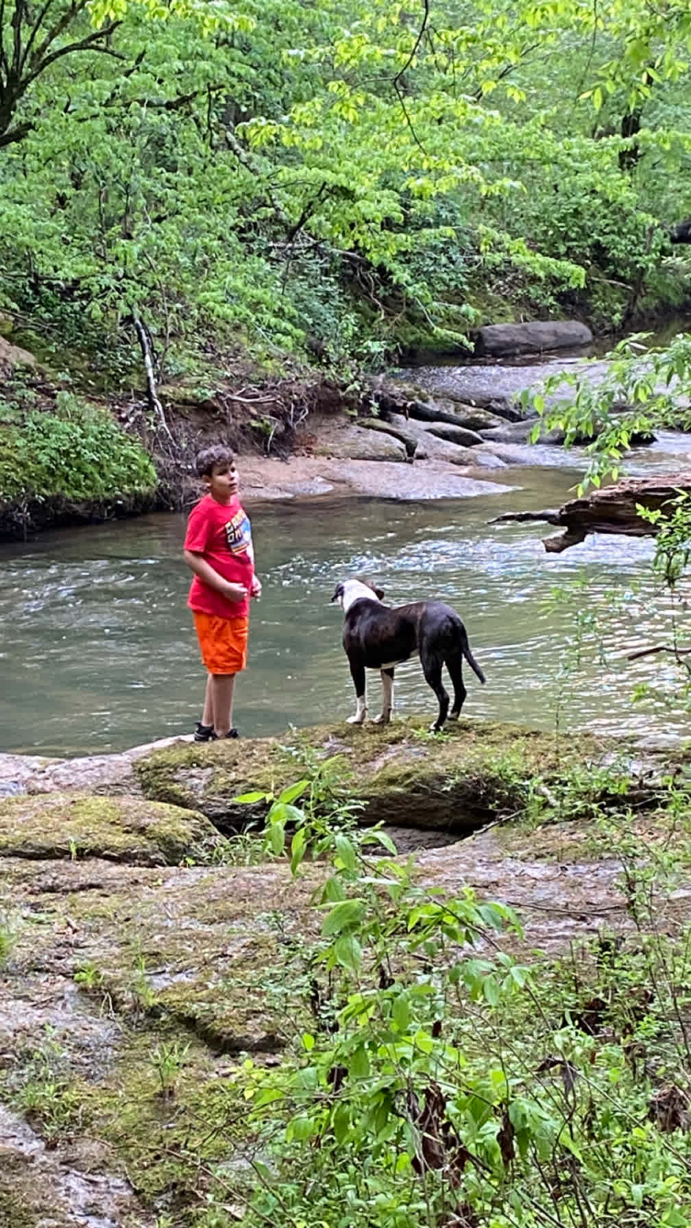 The swimming hole