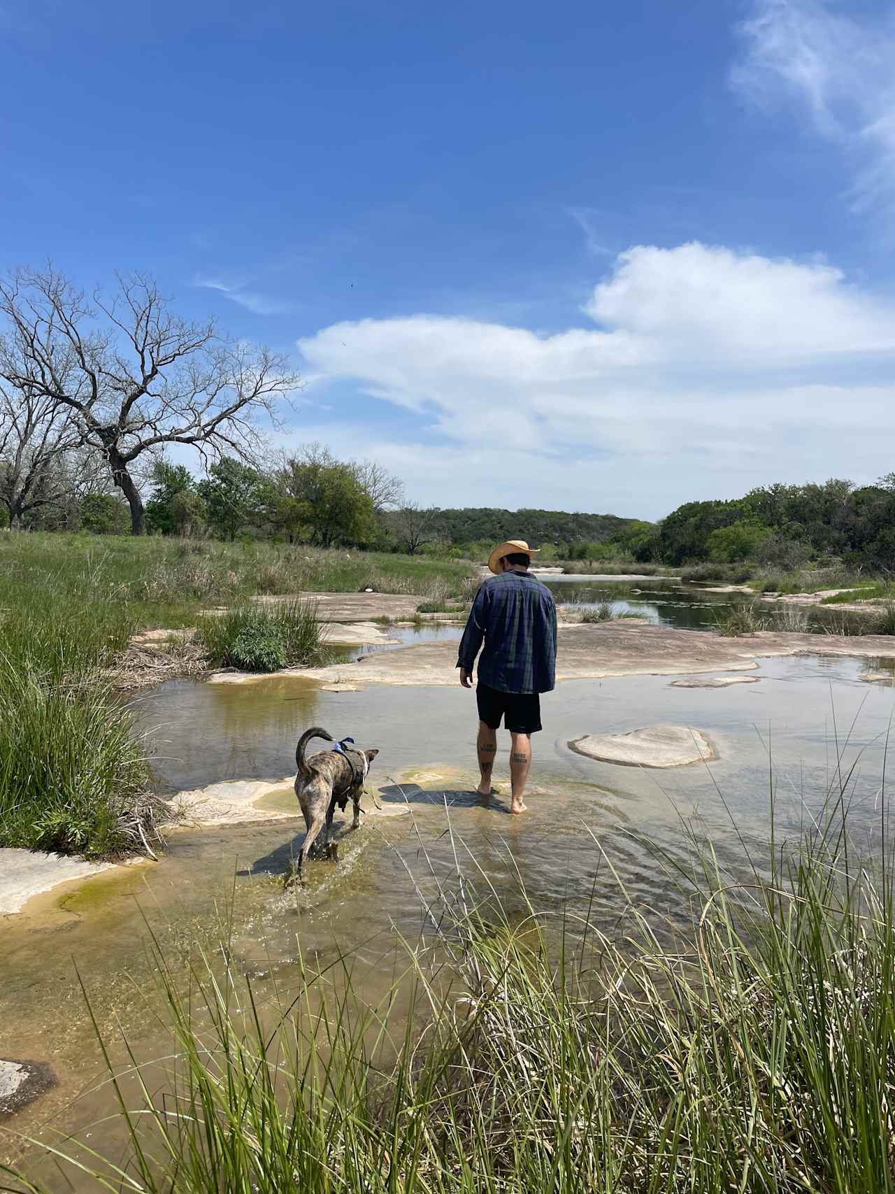 Hill Country Escape