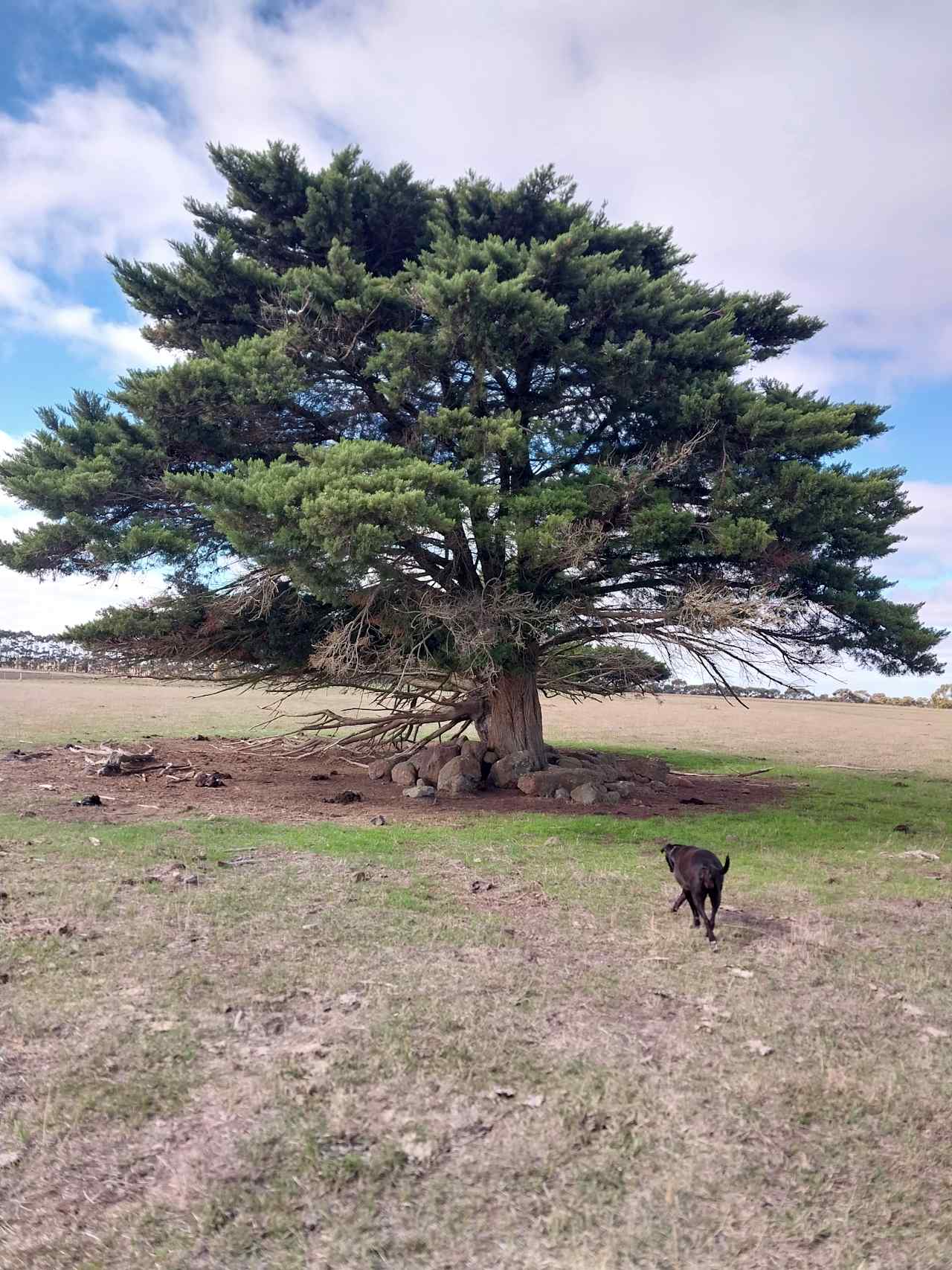 Larra Estate