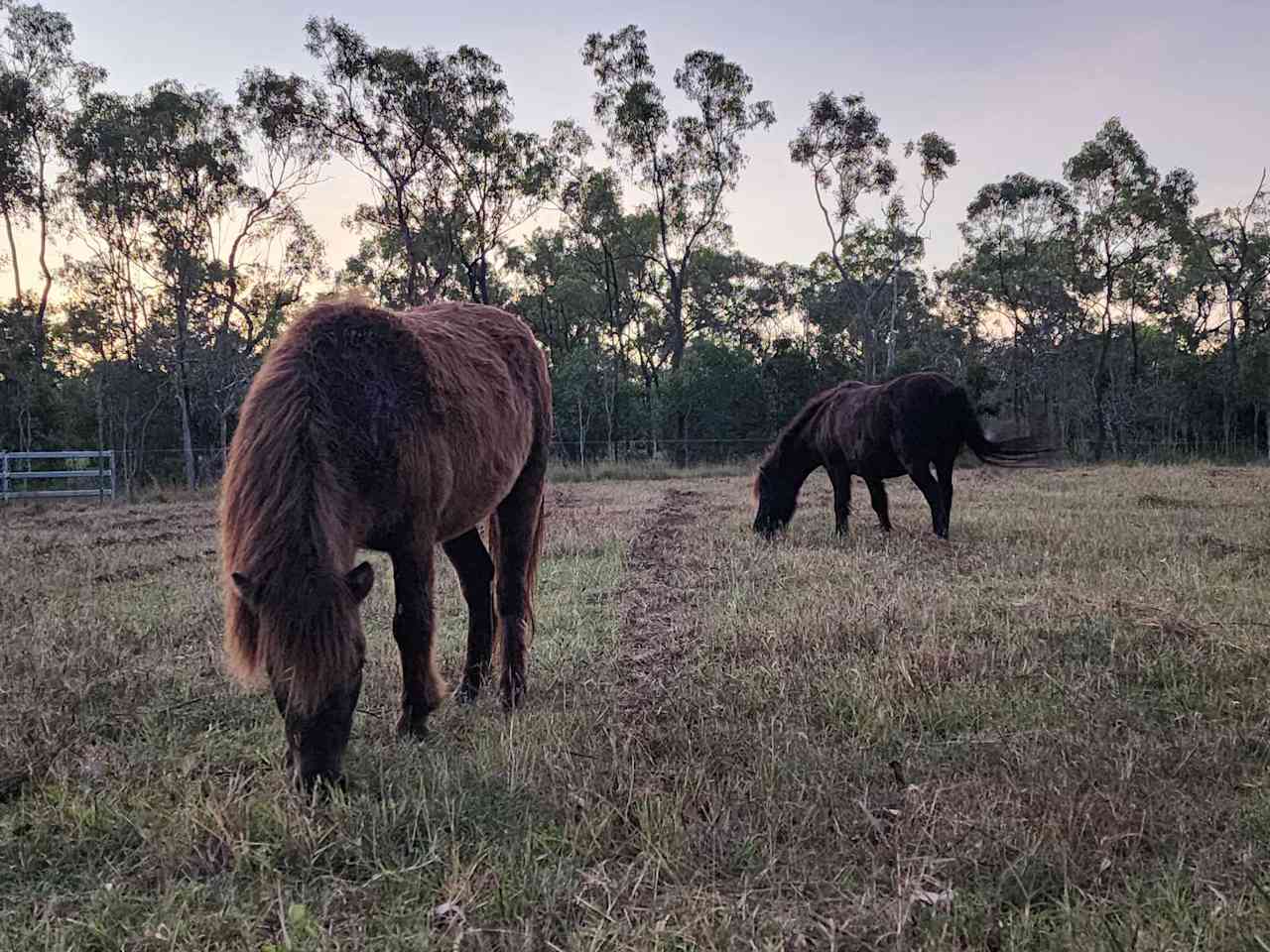 Black River Bush Retreat