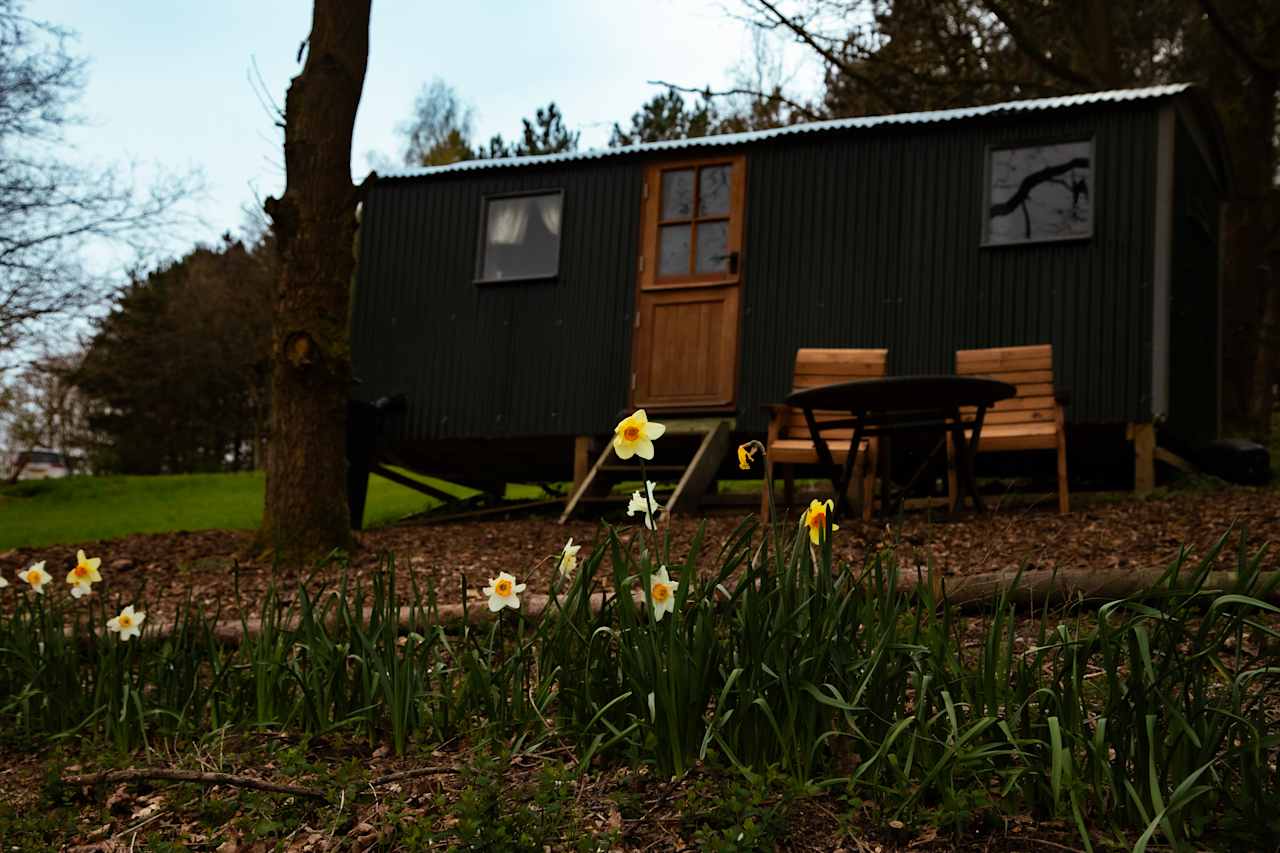 North Norfolk Camping & Glamping