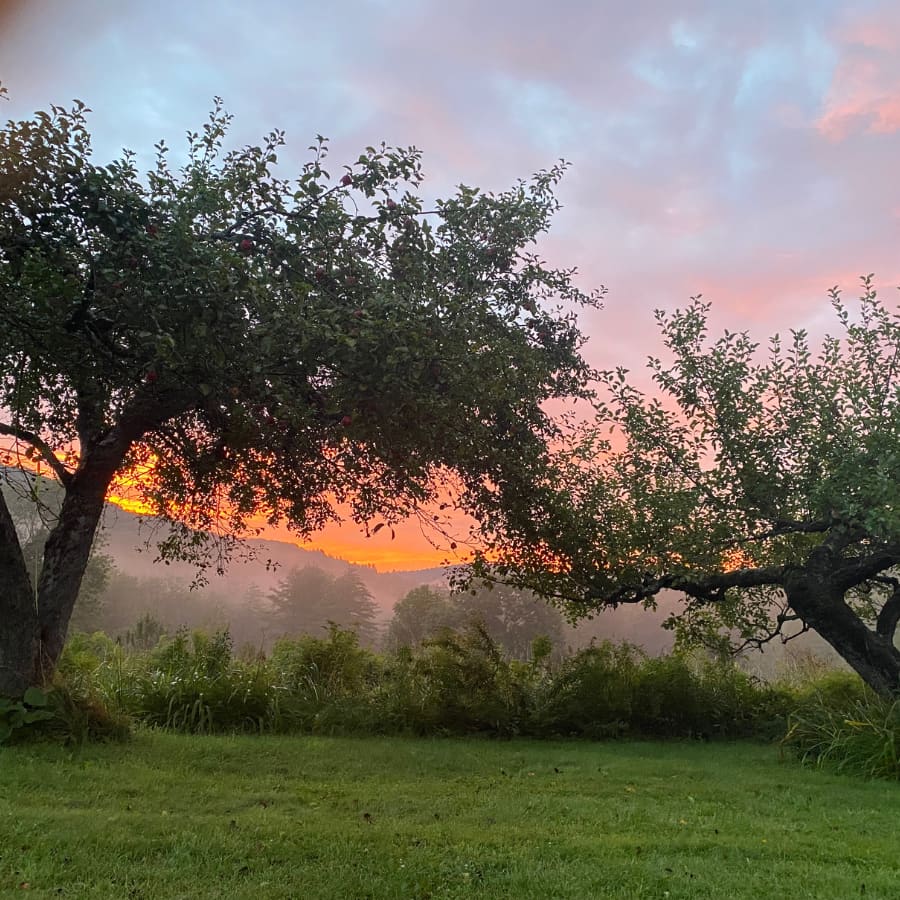 Sunrise on the farm