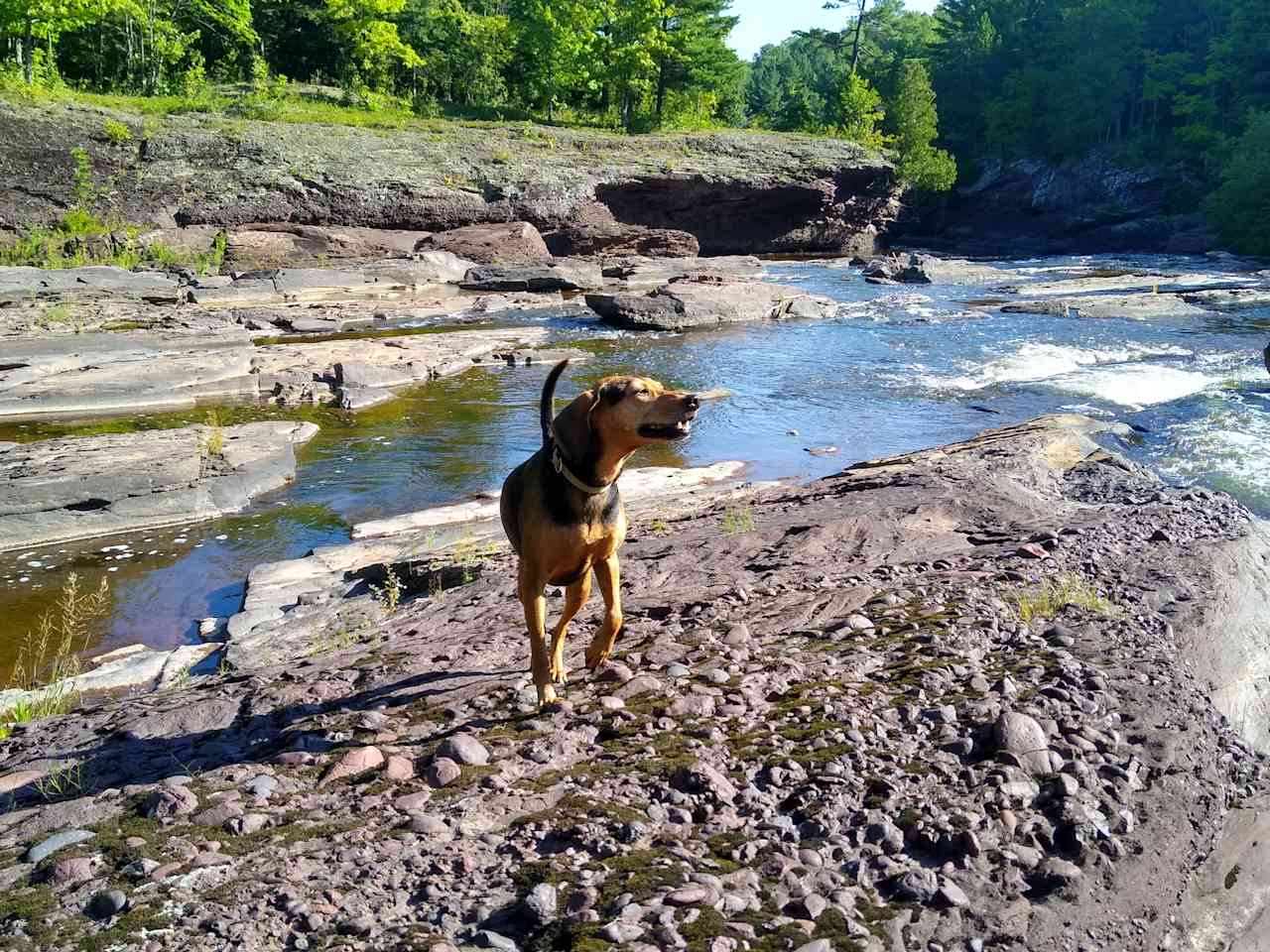 Rockhound Hideaway on Black River