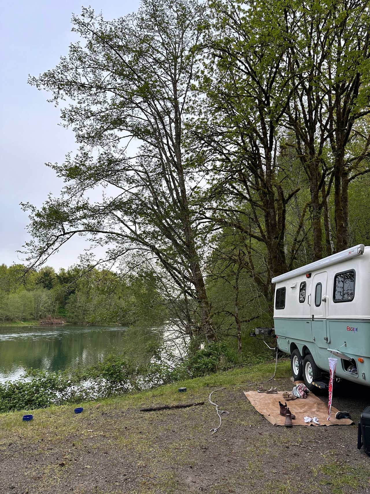 Cowlitz River Camping