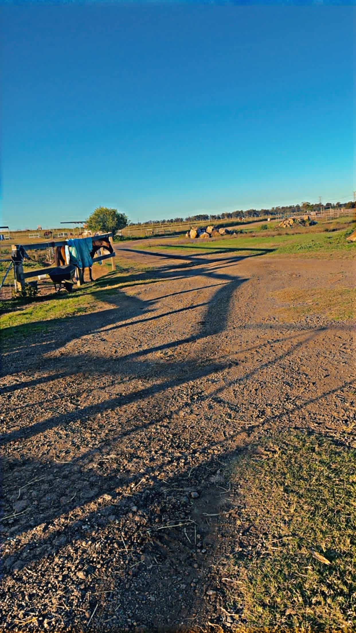 Peppertree Pony Camp