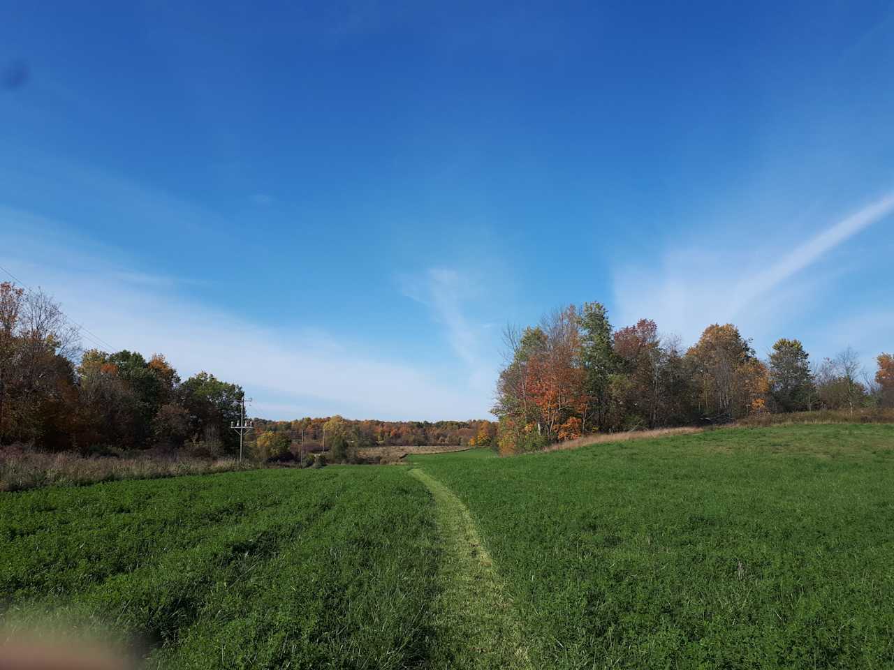 Thousand Islands - Willow Pond Farm