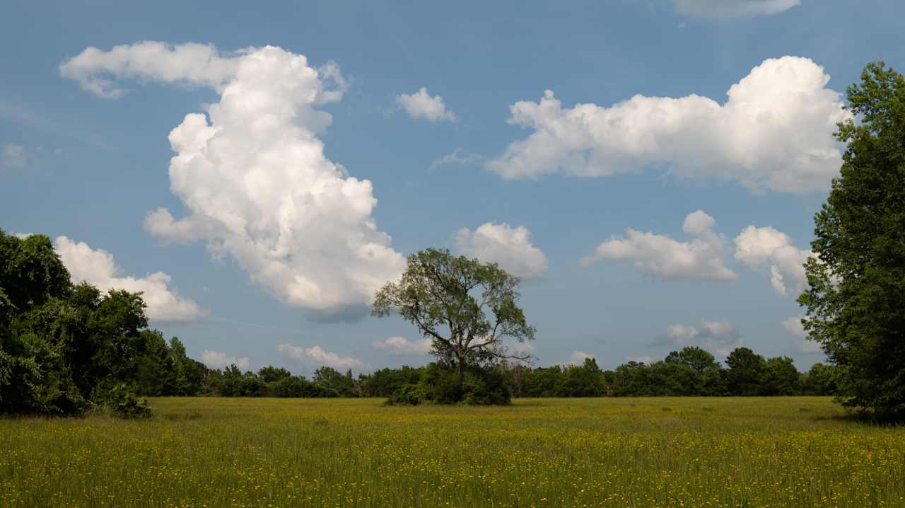 The Ranch At Beulah