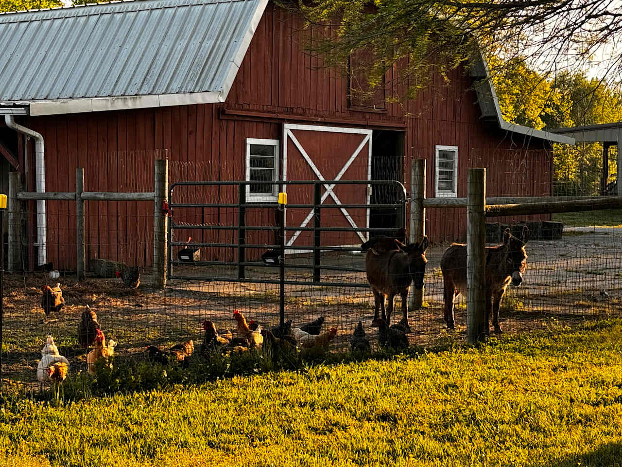 Moon Lake Farm - Camp, Fish, Relax