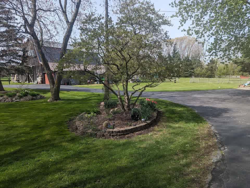 As you enter the U- shaped driveway, Guests look between barn & house for the gate. If at night 2 lanterns will guide you in.