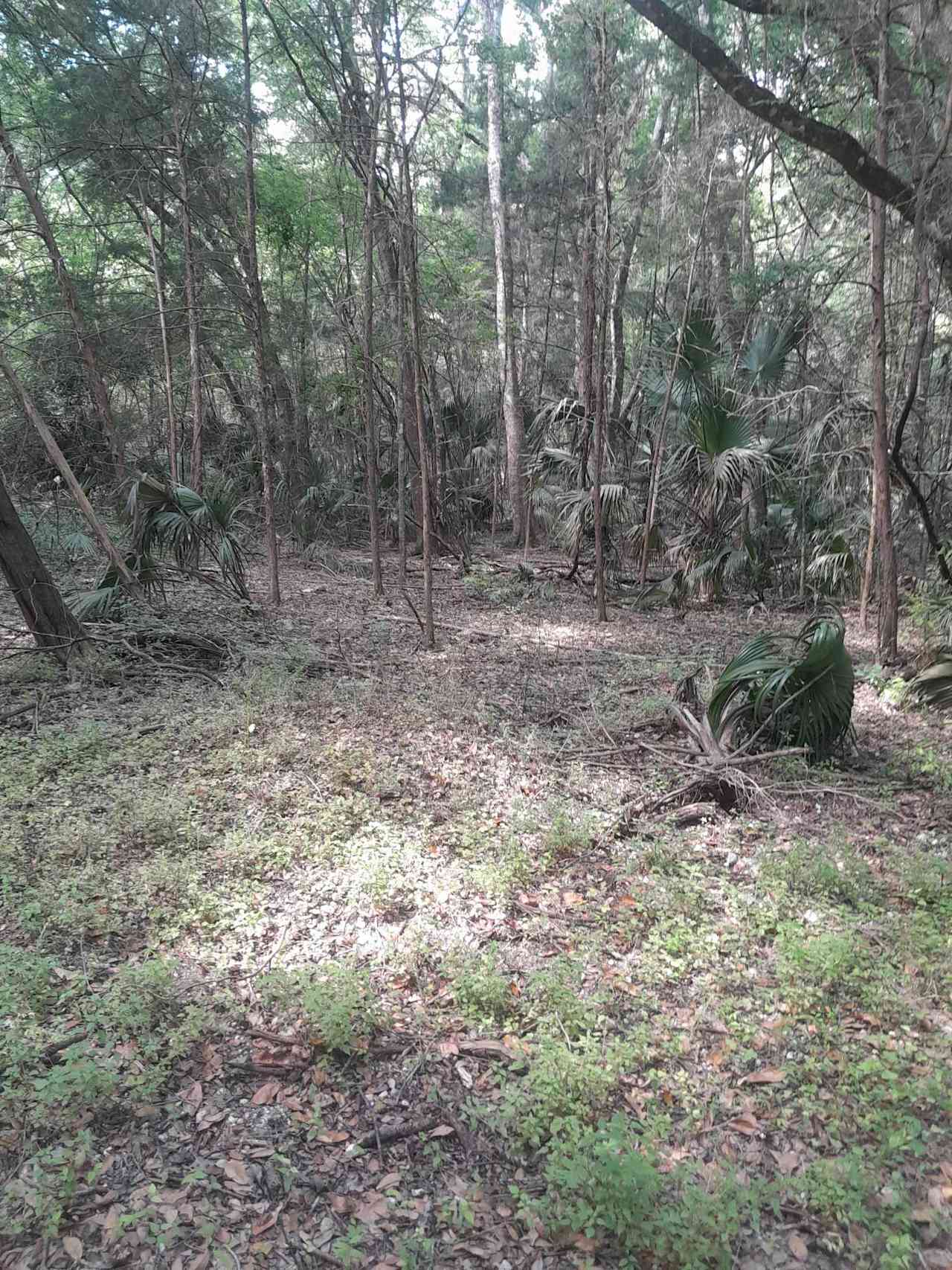Country Acres