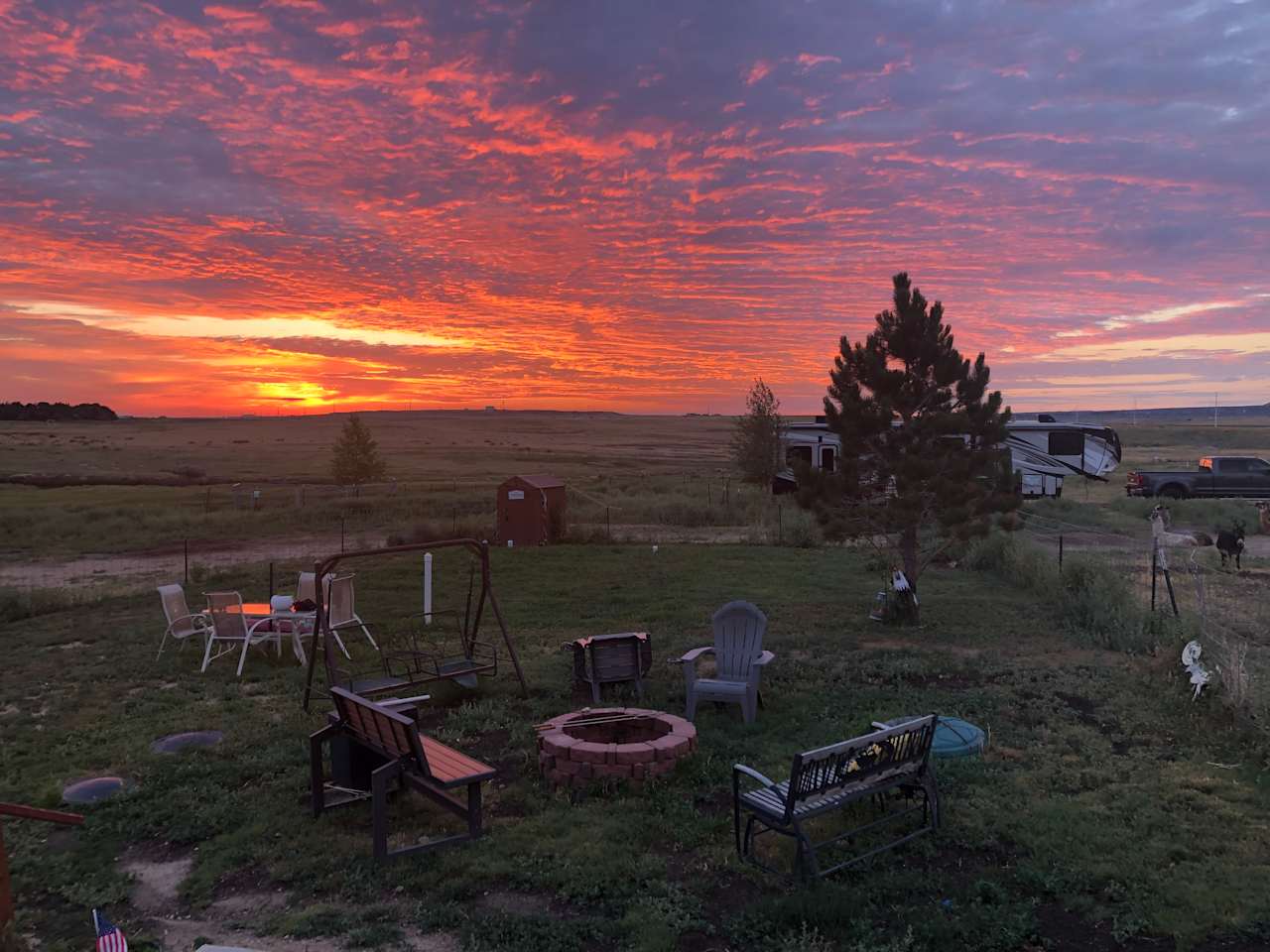 Cloud Peak Llama and alpaca ranch