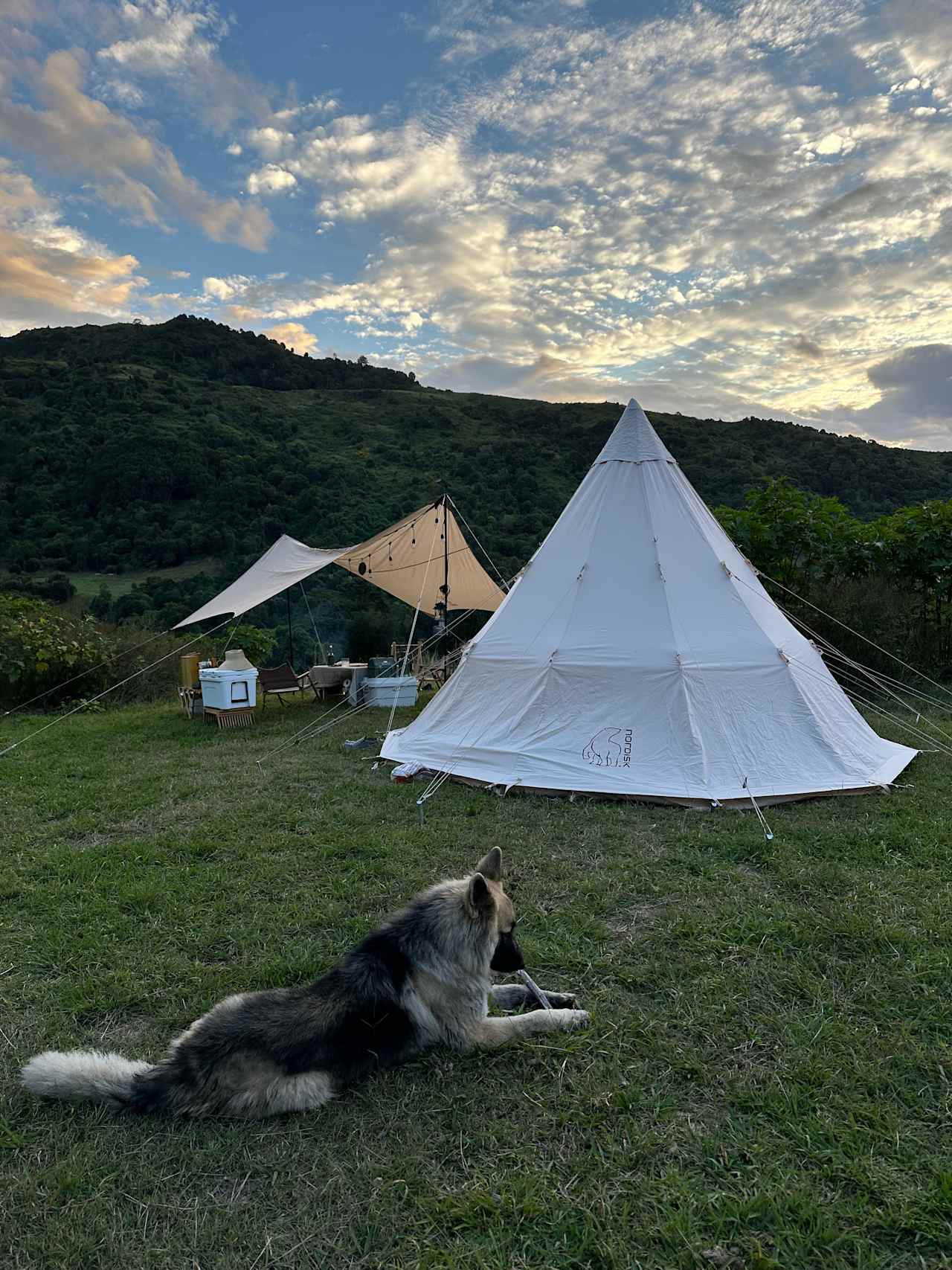 The Bush Clinic, Hinterland Retreat