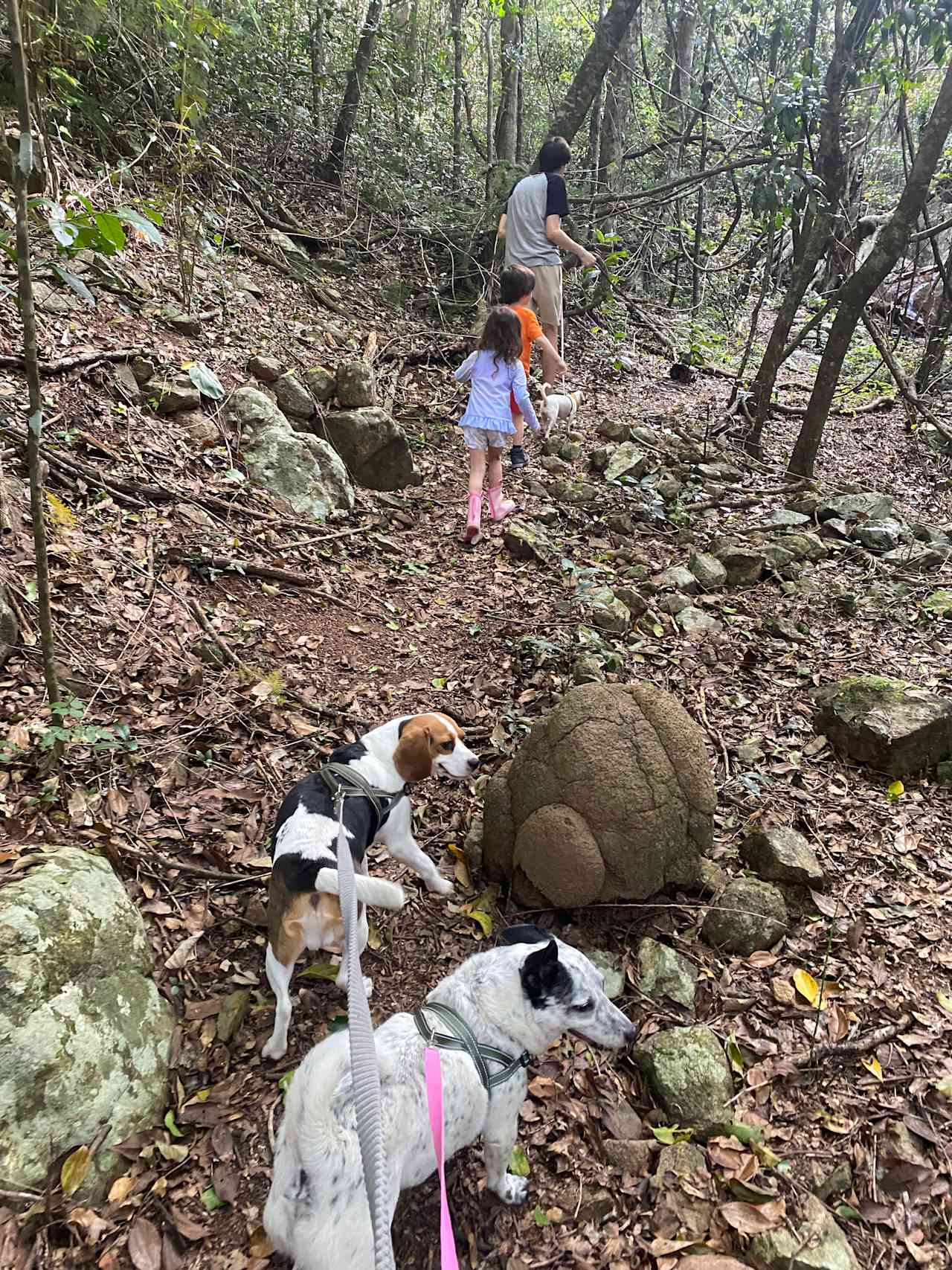 Middle Creek Dam Campsites