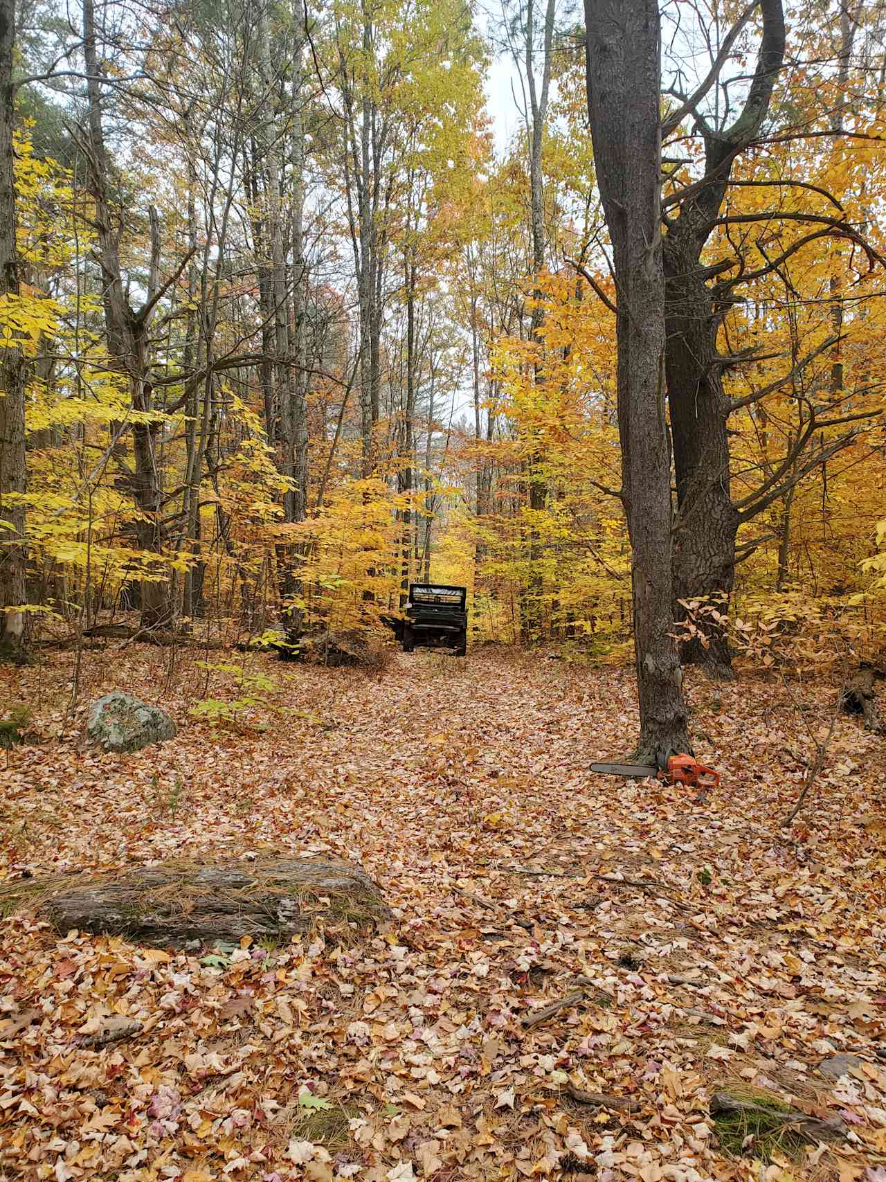 Brook Hollow Homestead