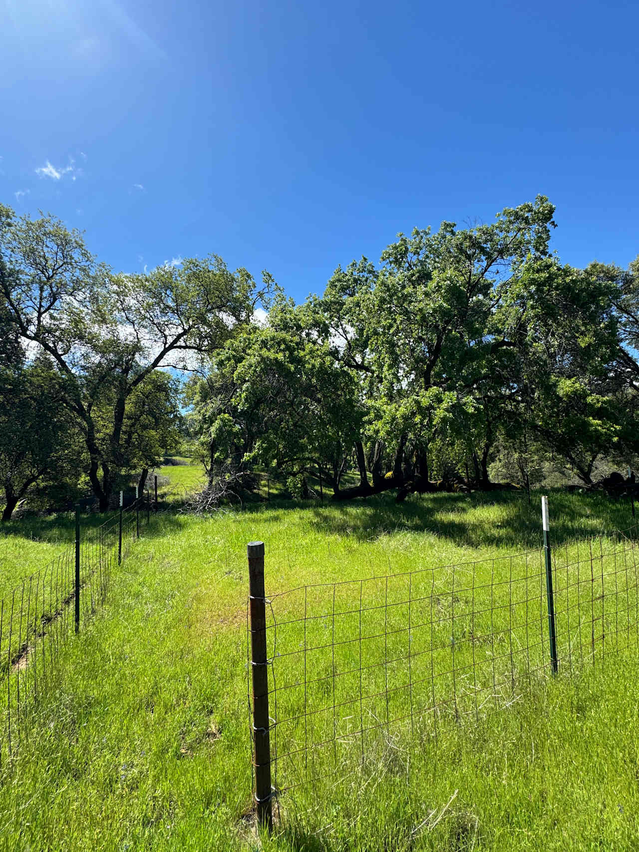 Heart valley ranch