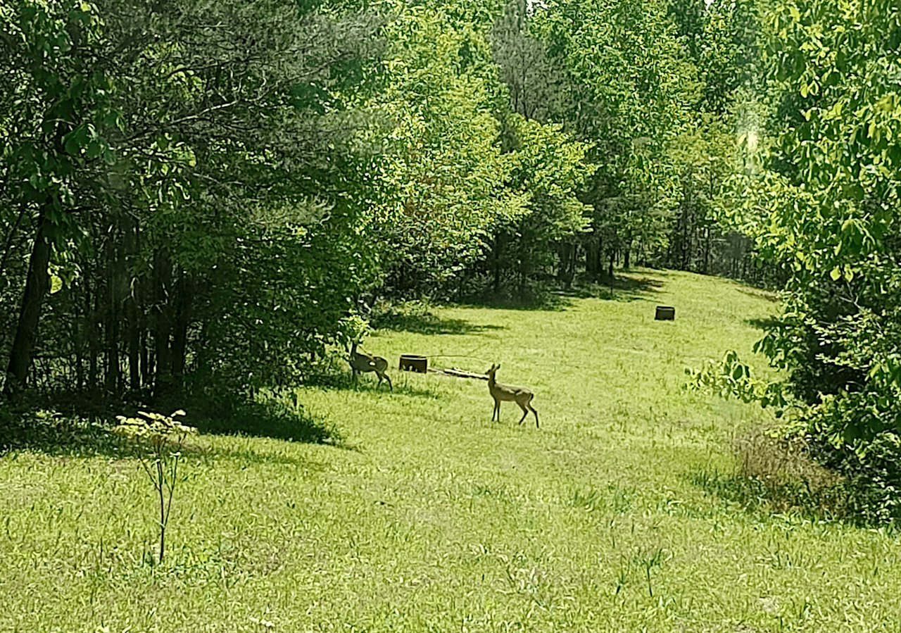 Red Bud Serenity Camp