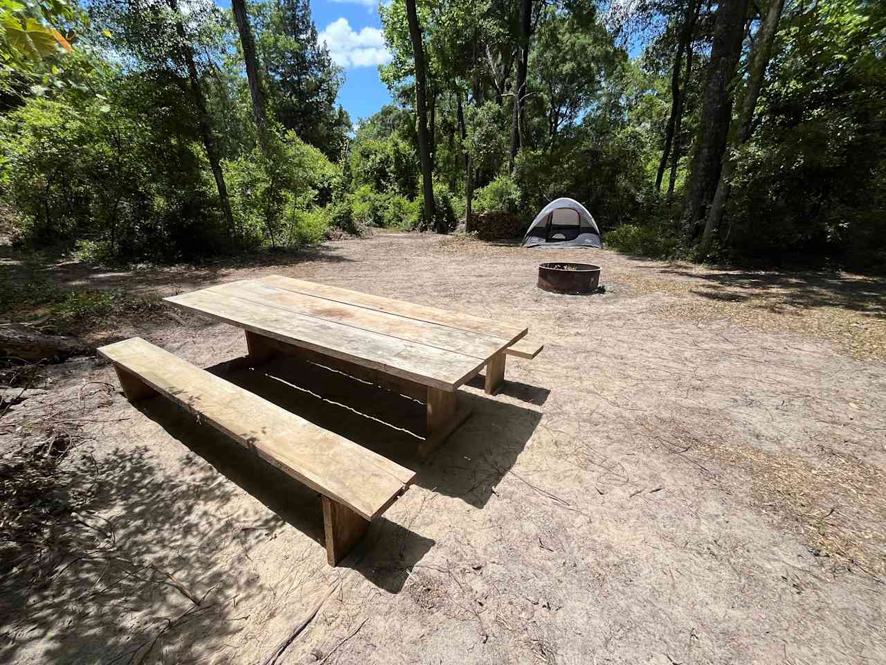 Secluded Wooded Campsite 🏕️