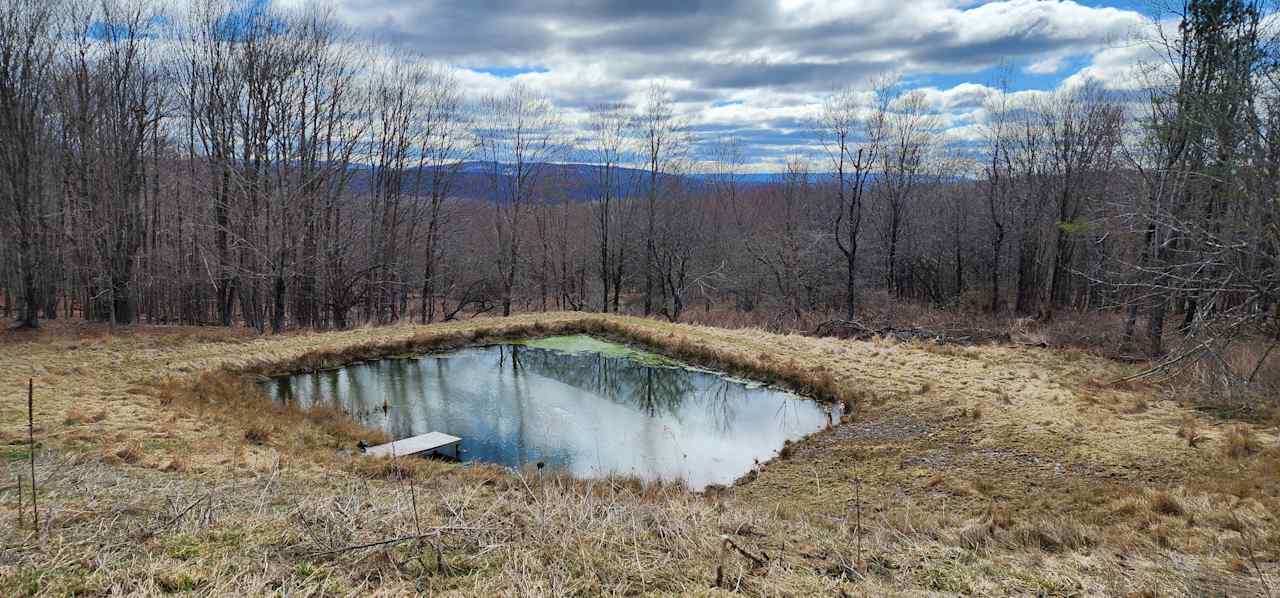 Catskills Mountain View