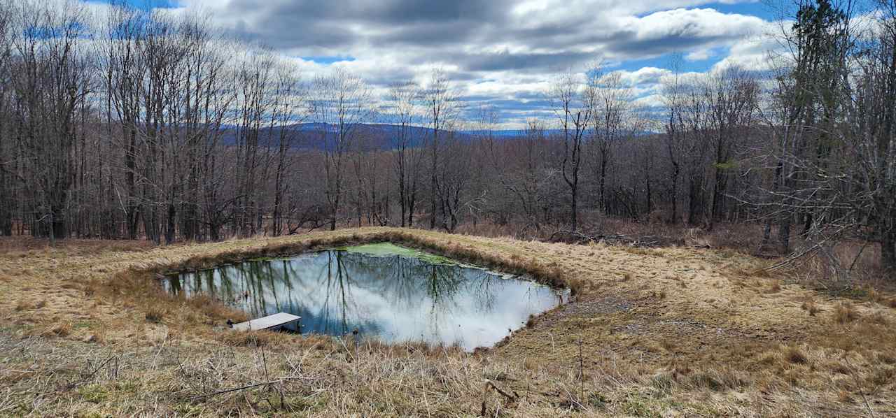 Catskills Mountain View