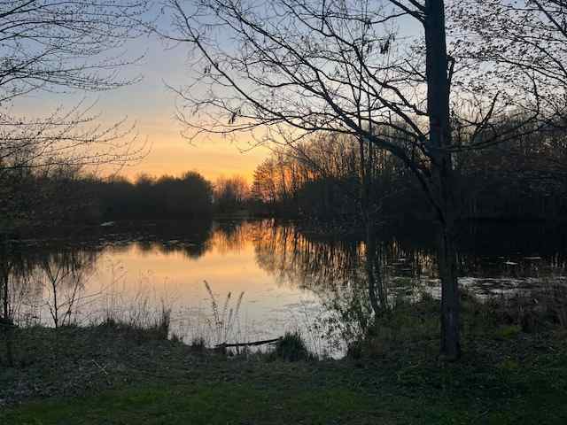 By The Pond