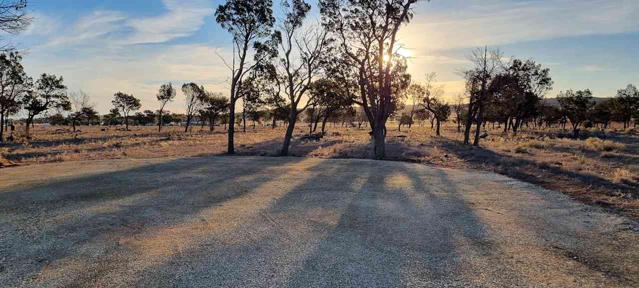 Maverick's Rest - Alpaca Farm Stay