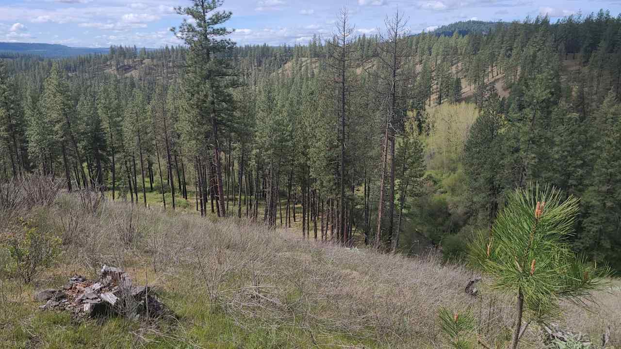 Misty meadows campground