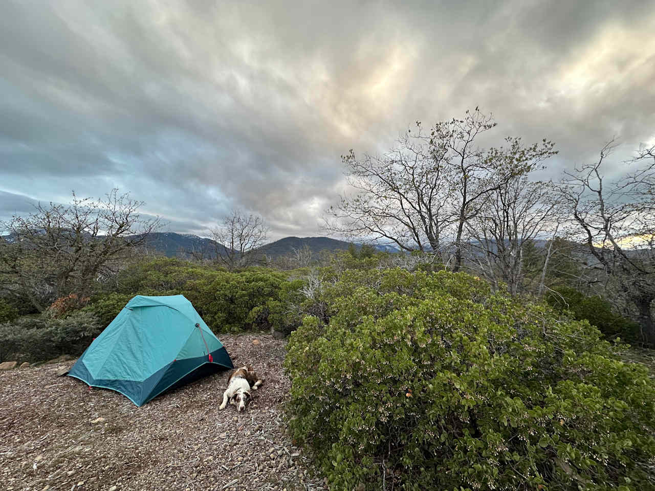 Trailer Lane Campground