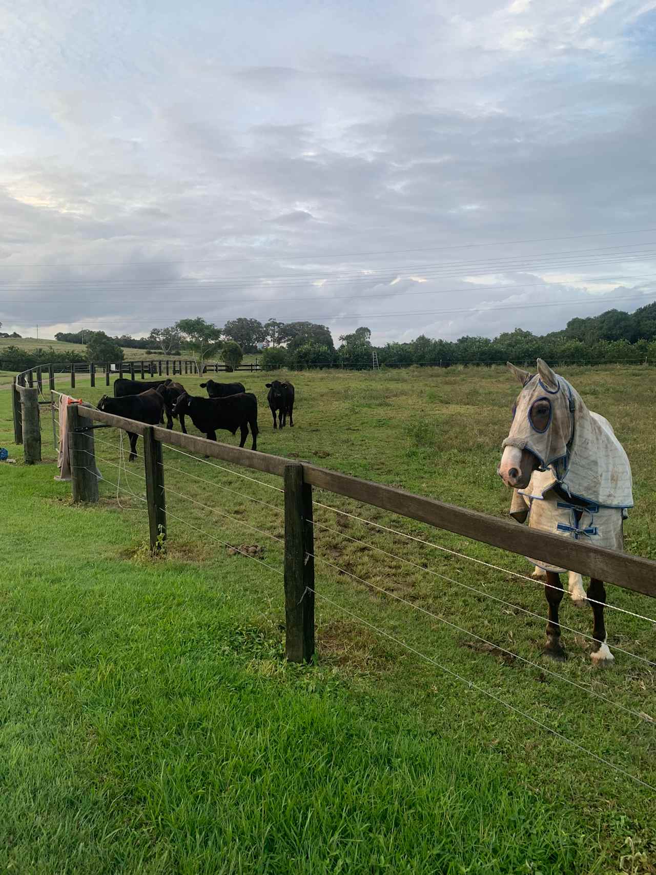 Calbria Farm