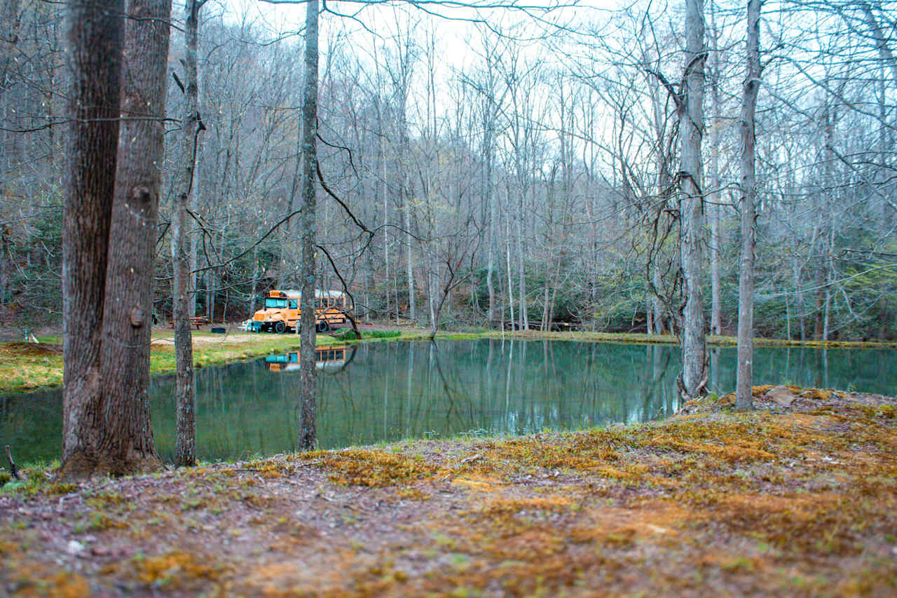 Wild Wonderful Skoolies And Camping