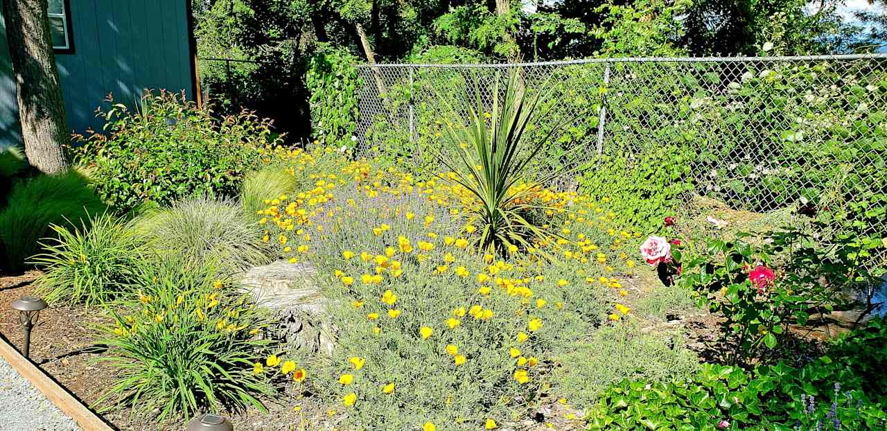 Pollinating garden