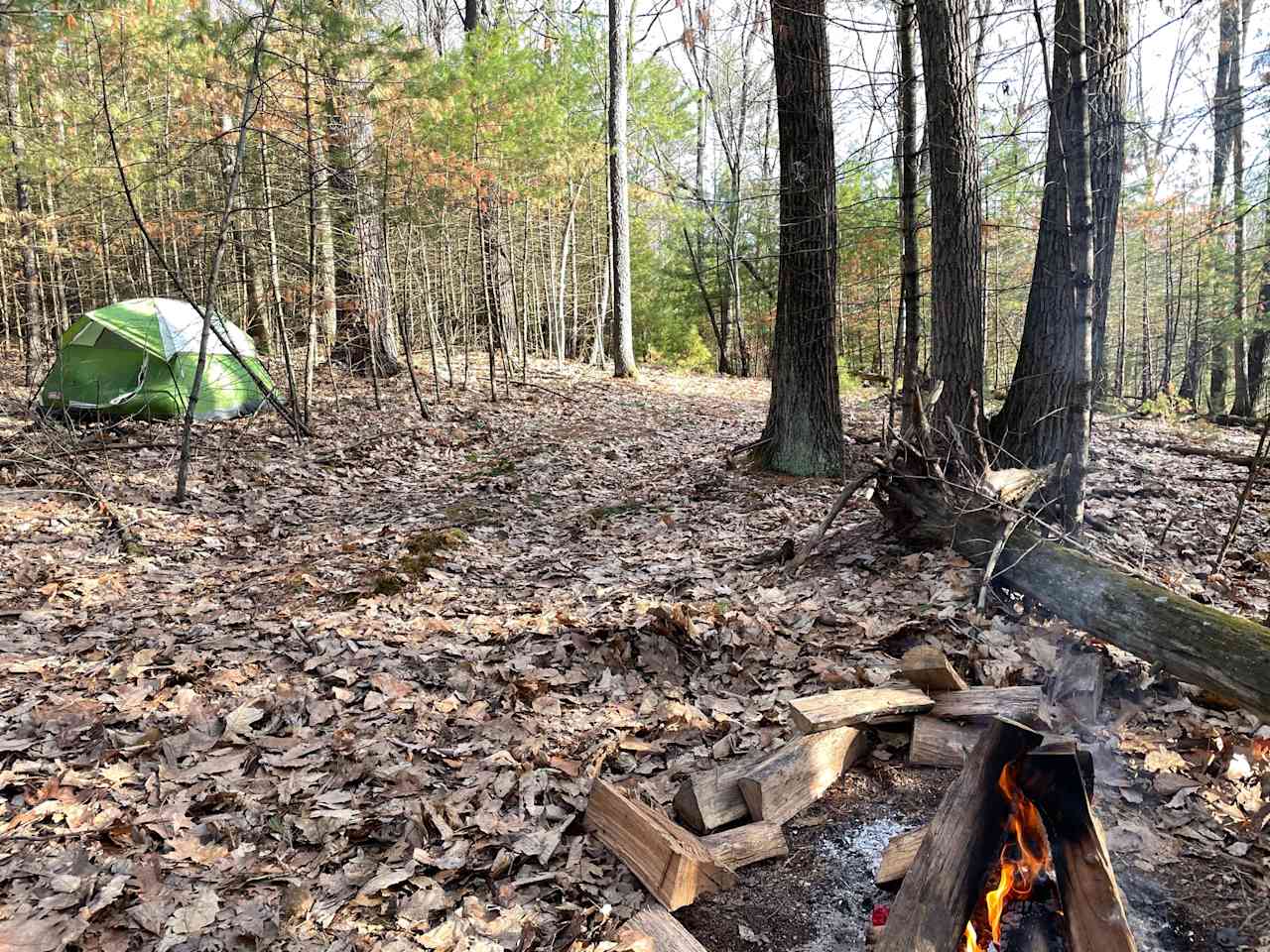 Whitetail Summit