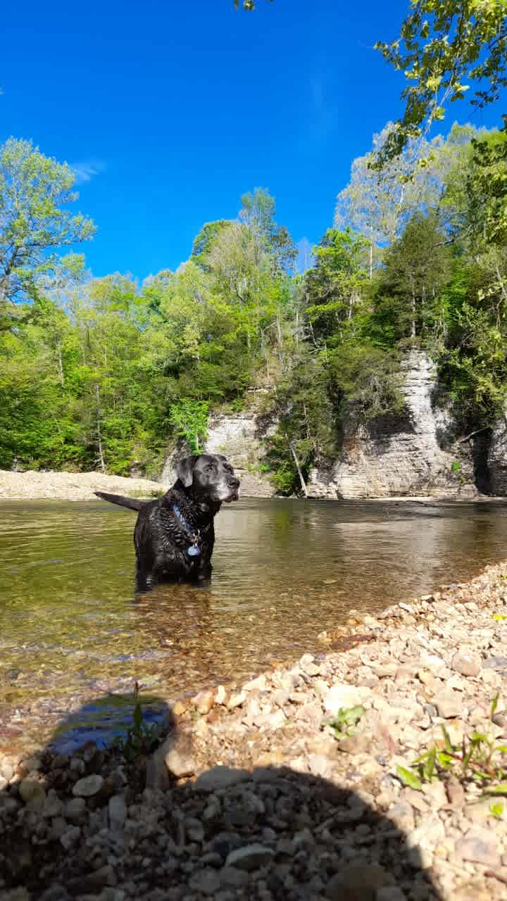 The Bluffs At Tumbling Creek