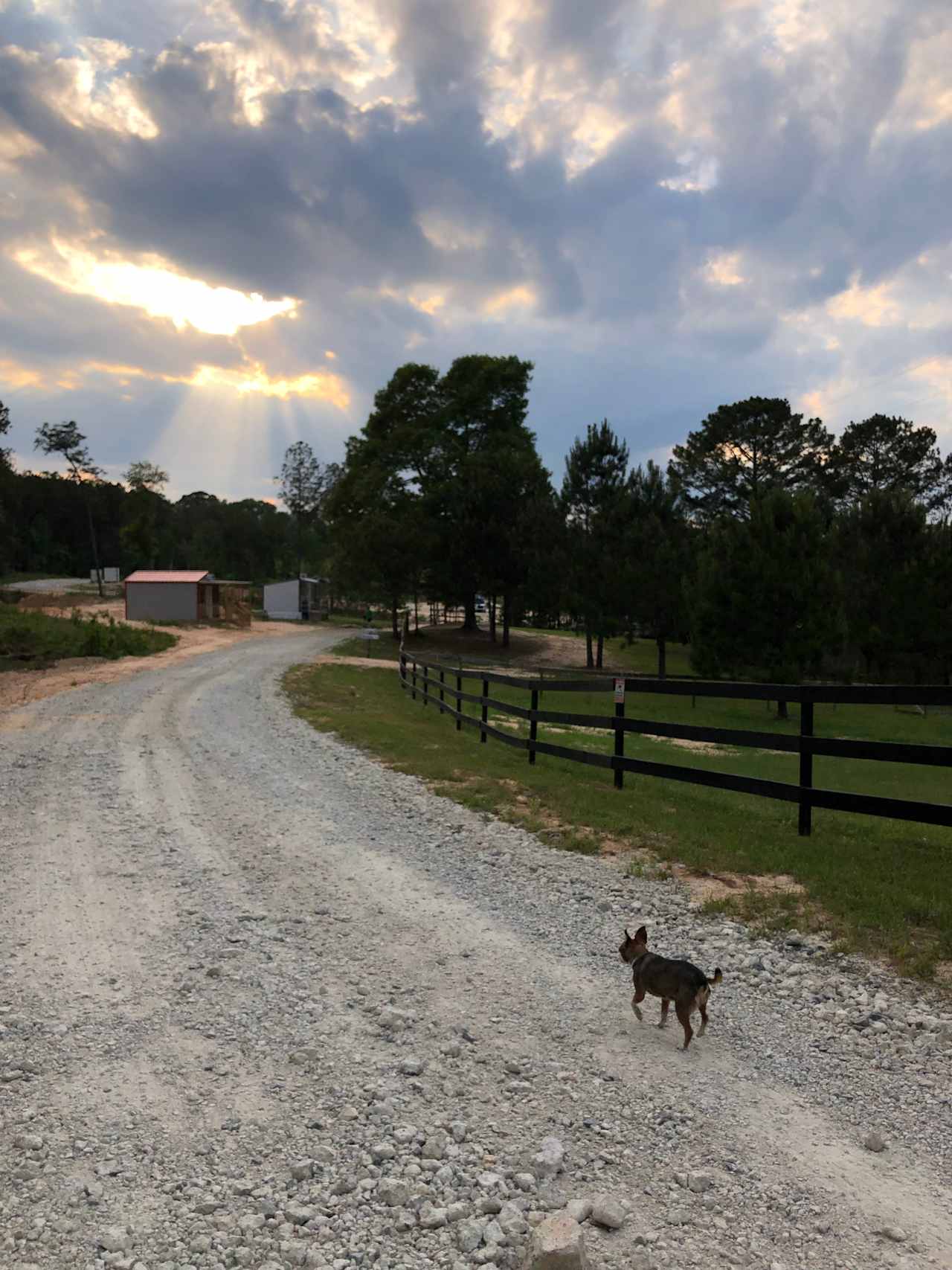 Piney Hills Campground