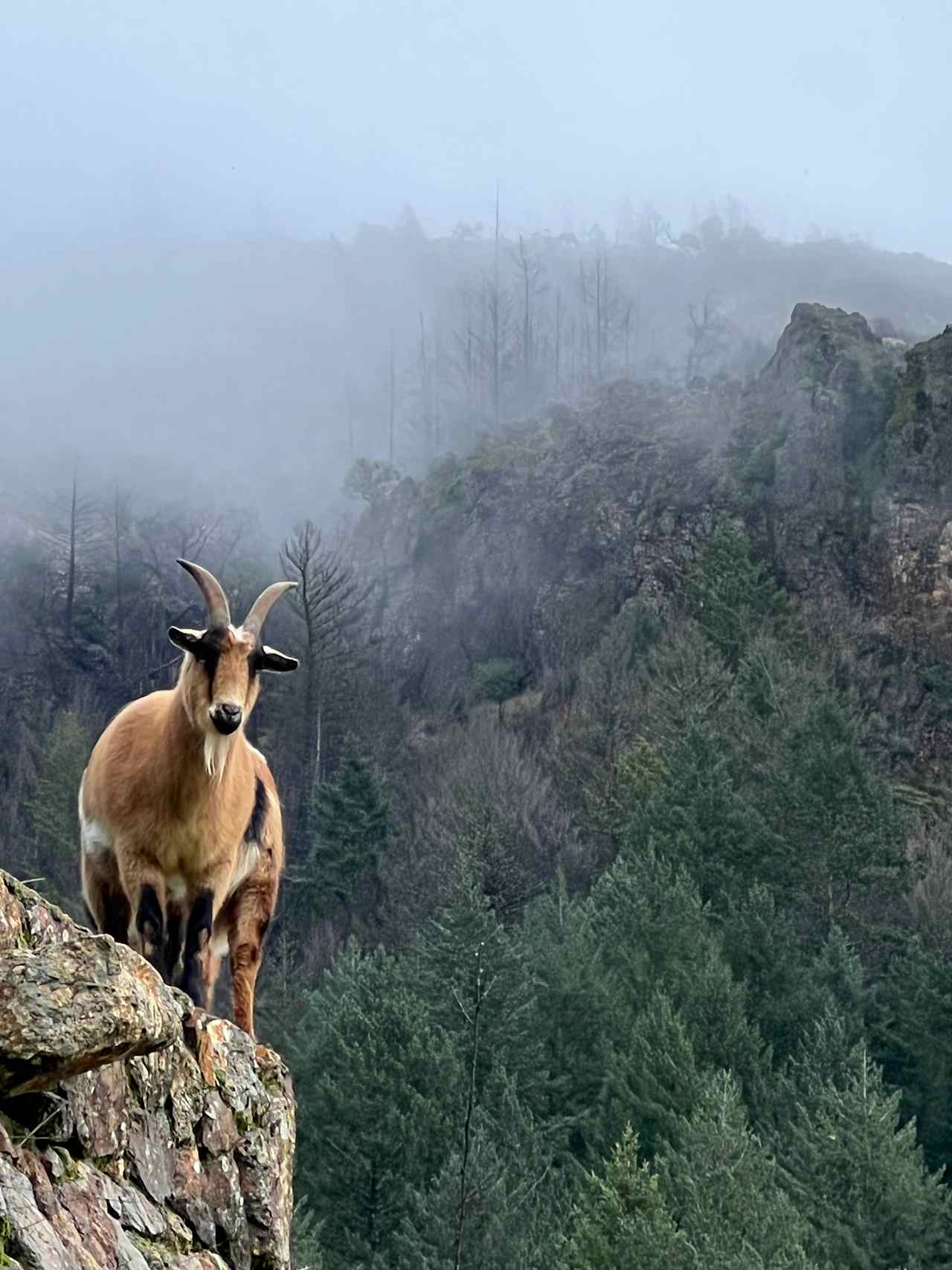 Moon Ridge Ranch