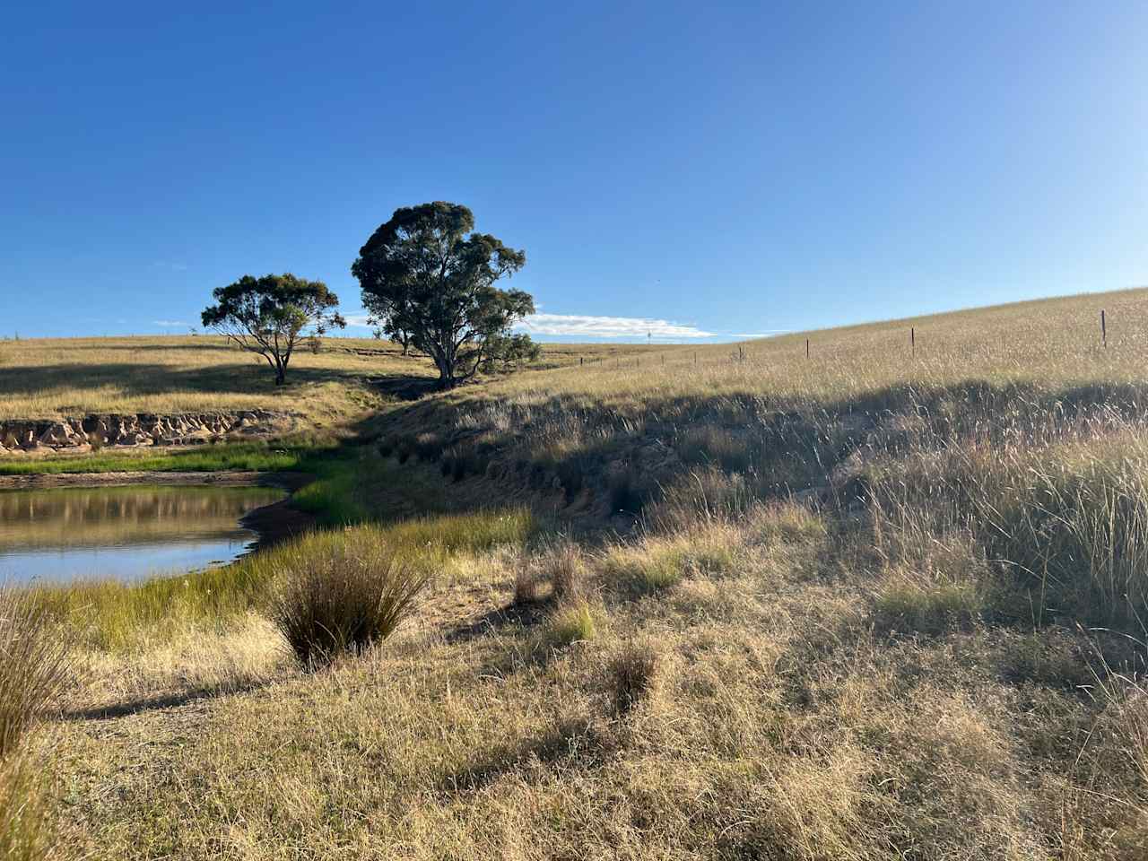 Burrendah Farm Camp