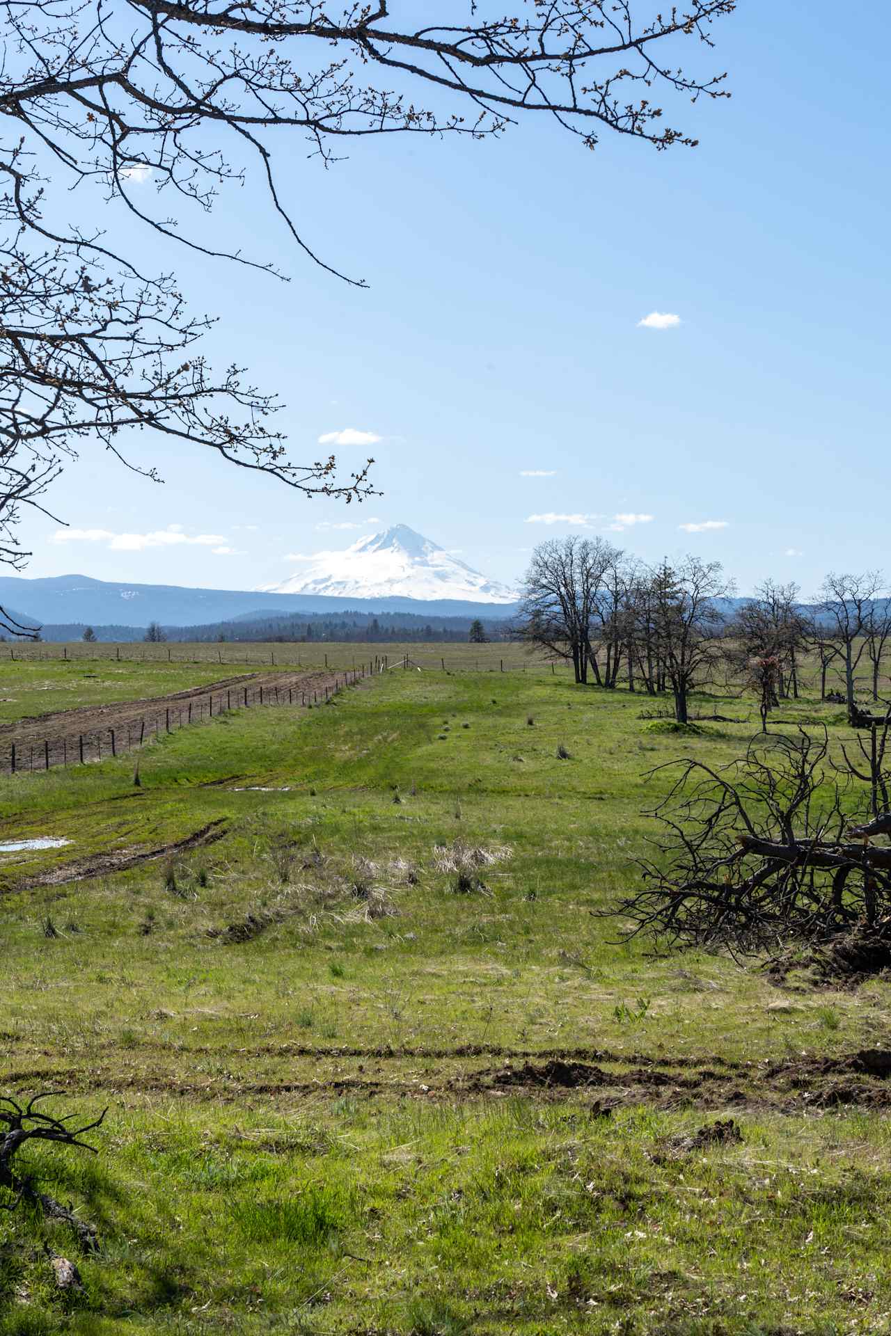 Glamping and Camping near Mt Hood