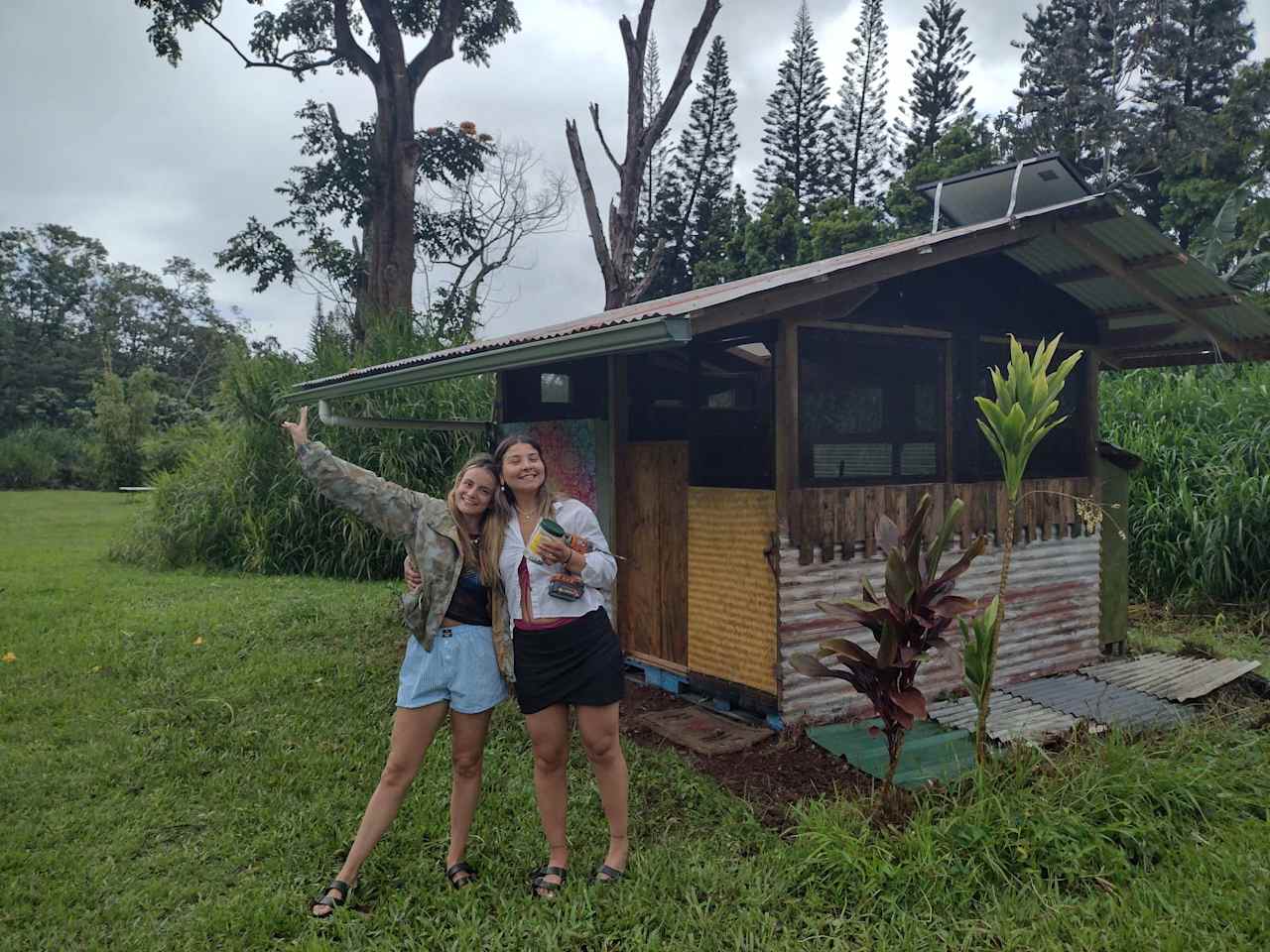 Hawaiian Jungle Yoga