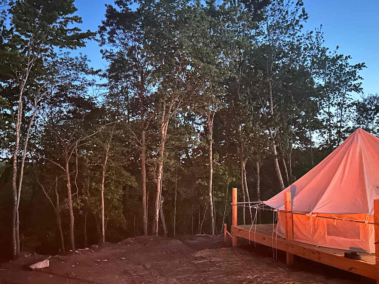 Mollys Ridge Glamping and Camping