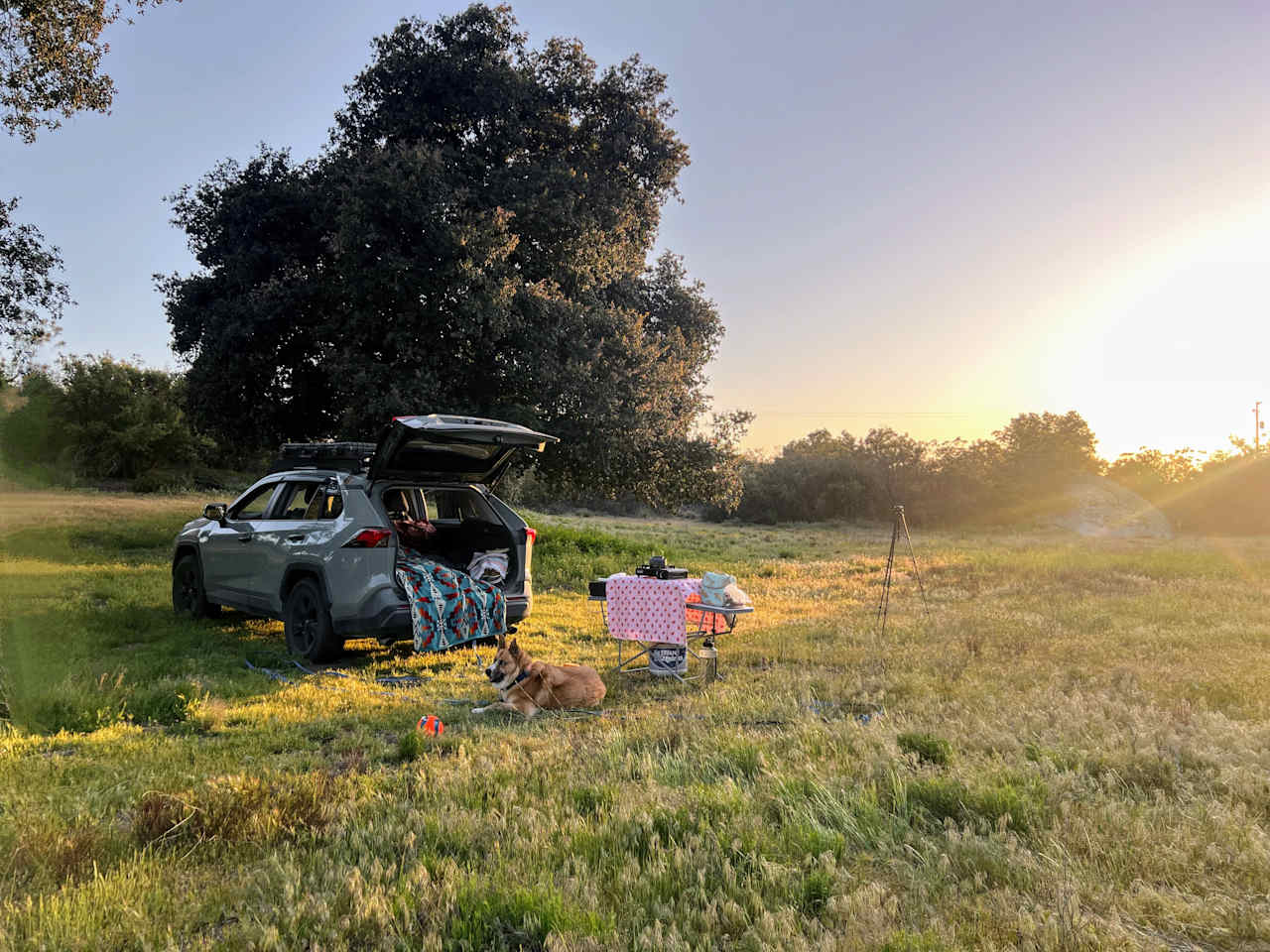 Site Overview/ Landscape: Fields with shaded Oak Trees and ample space for multiple vehicles