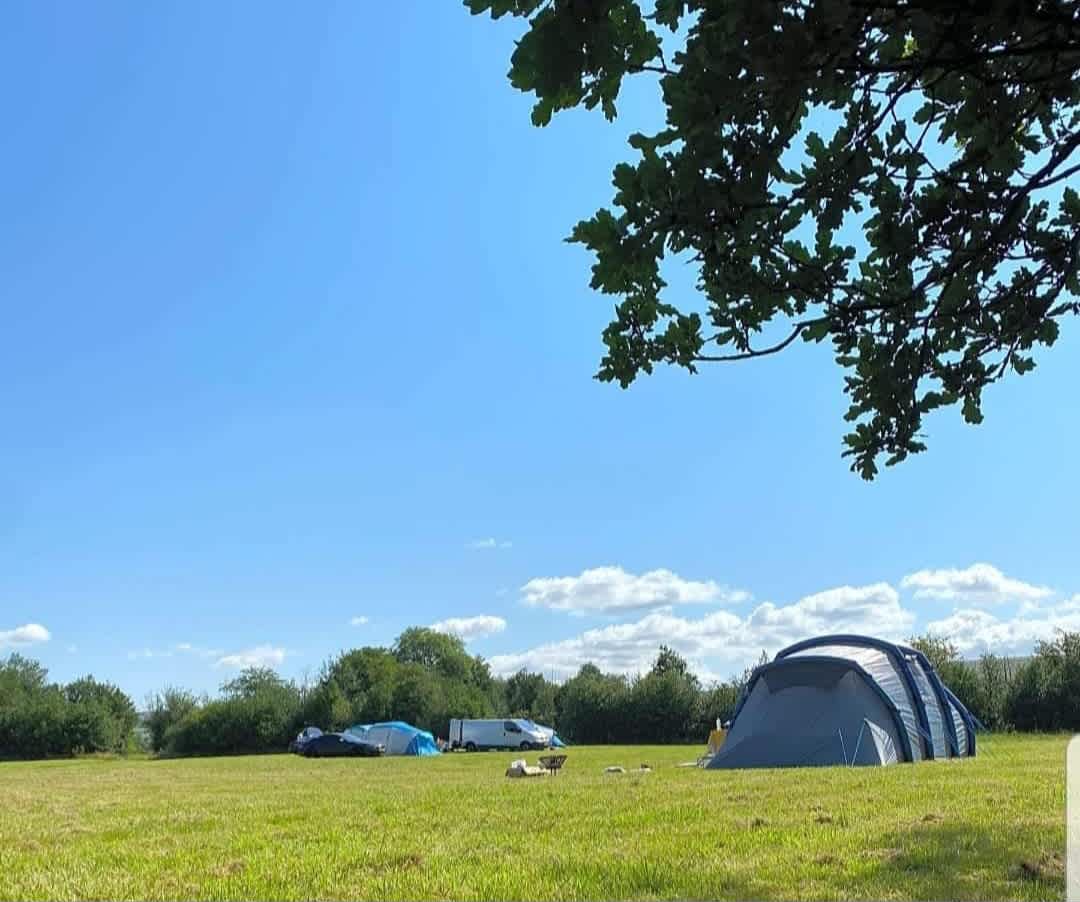 Camping at The Hollies