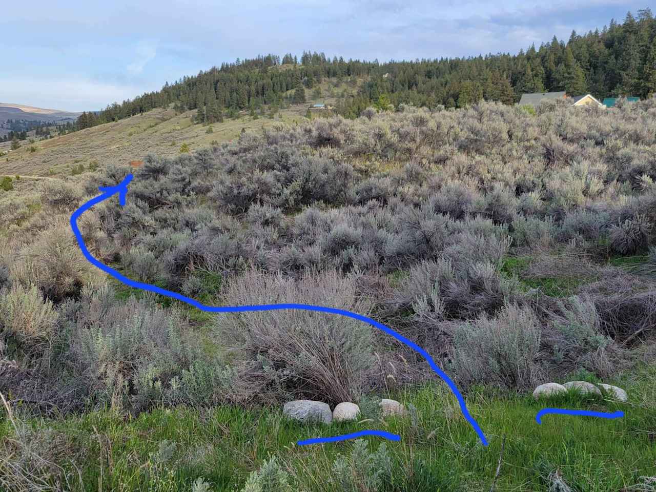 Trail to outhouse, which is on the adjoining property, starts at the dip in the driveway between the rock markers.