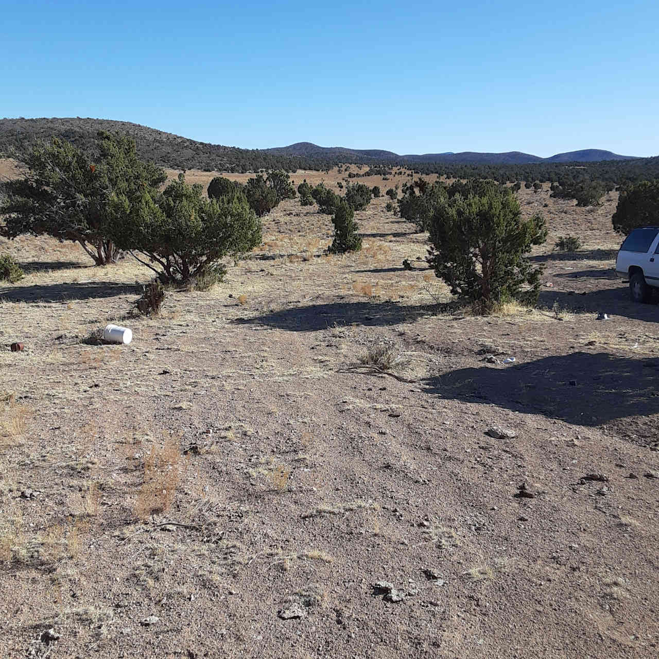 Jackalope Crossing