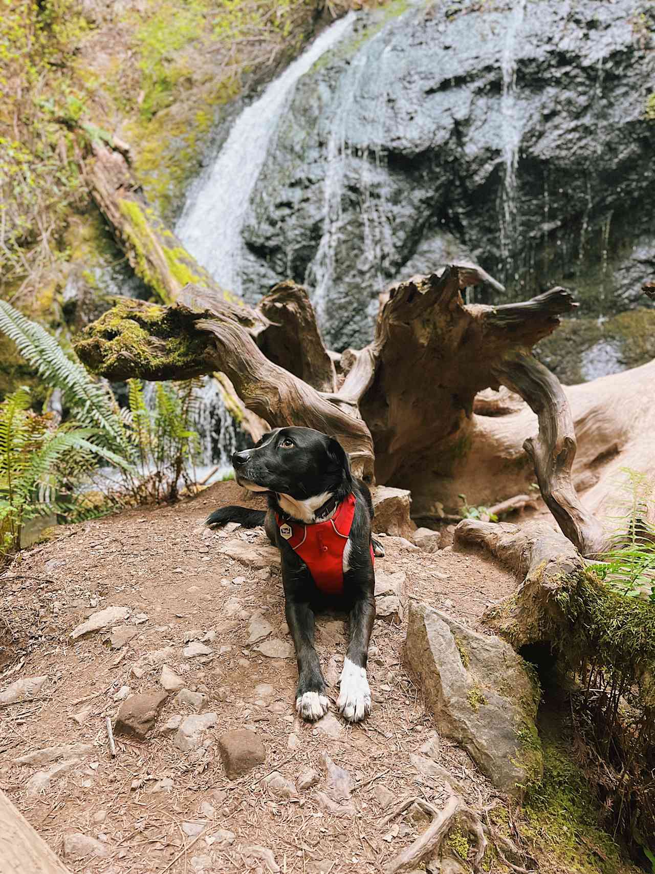 Waterfall Camp