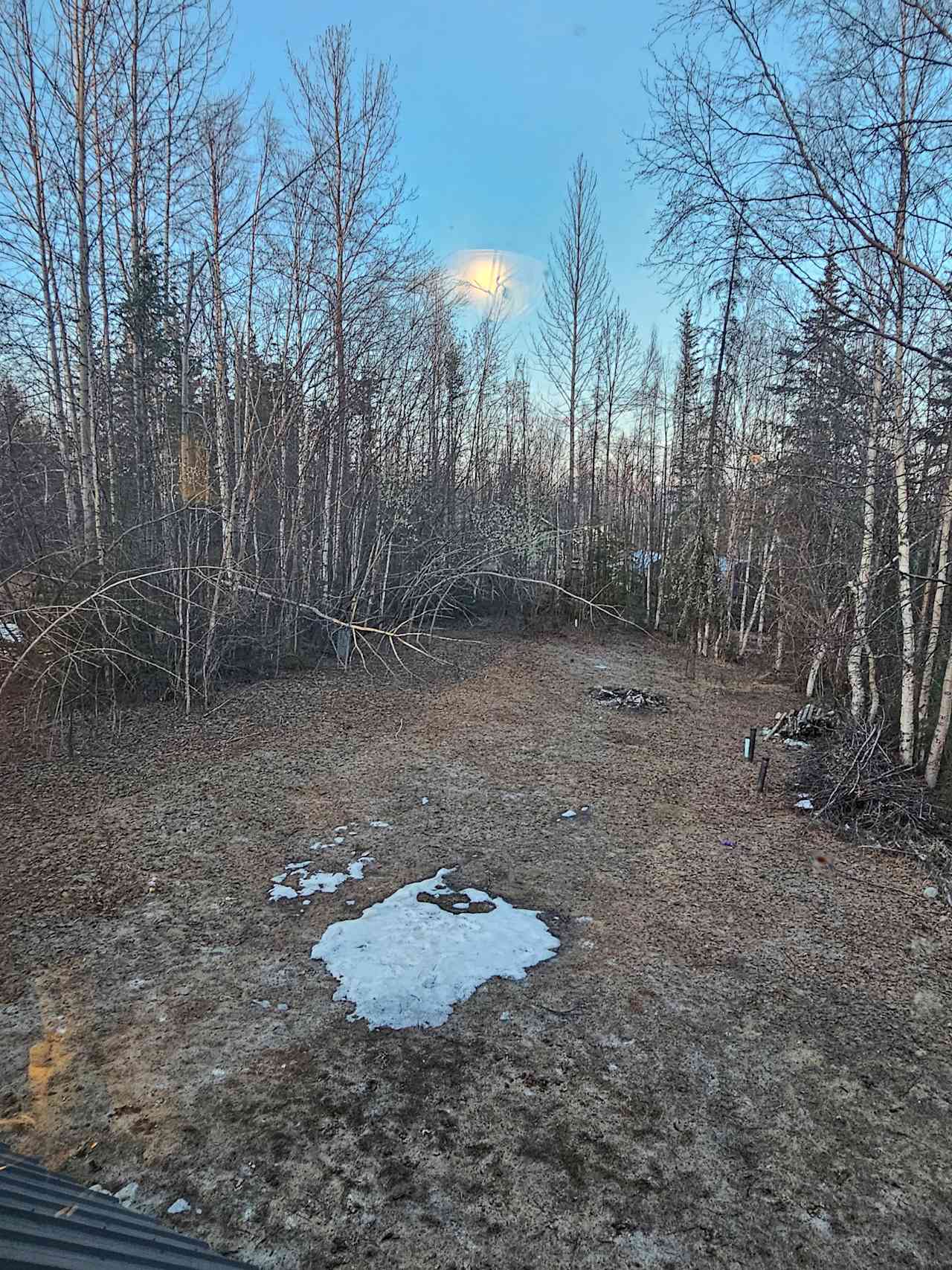 Wasilla Woods