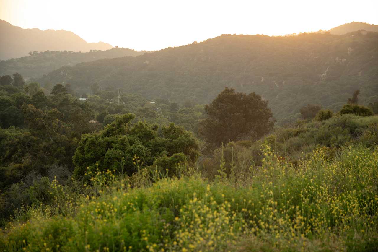 Hillside Homestead