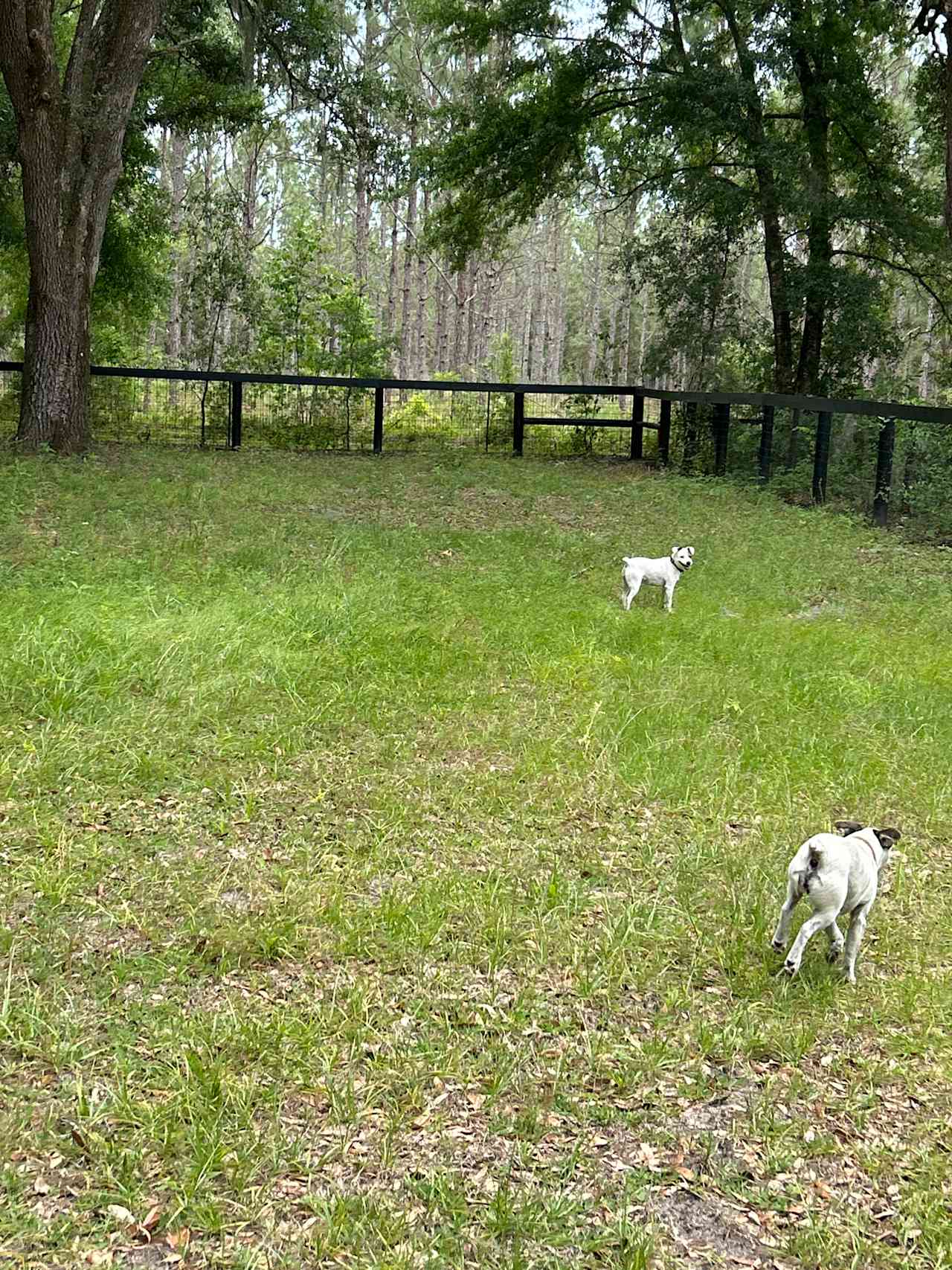 Shannon Trails bring your horses