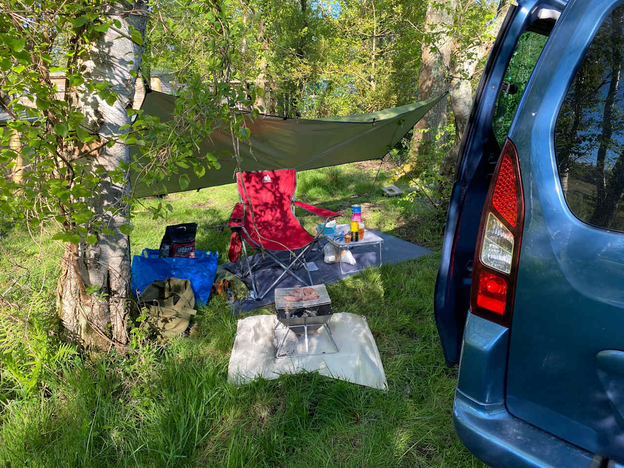 First night pitch in the trees