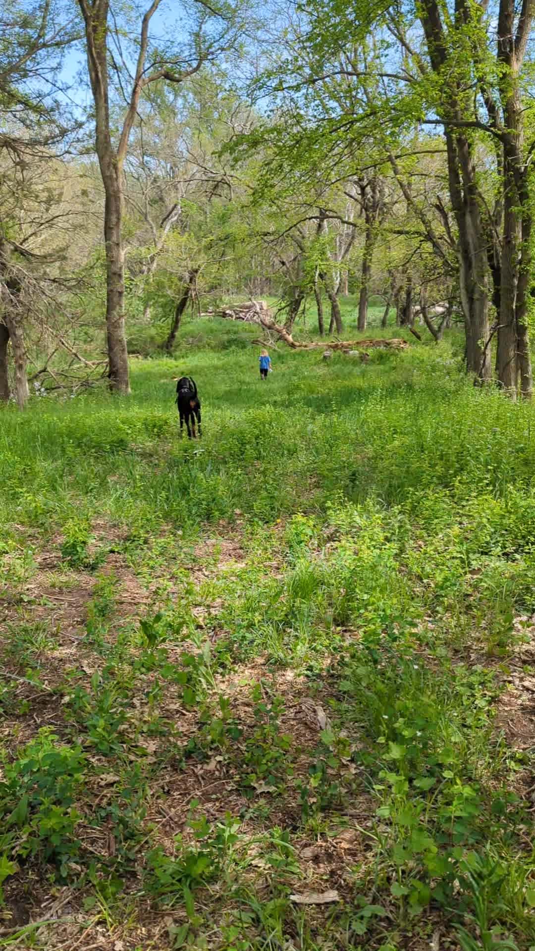 Site 1 - path to campsite, outhouse, water, and fire ring