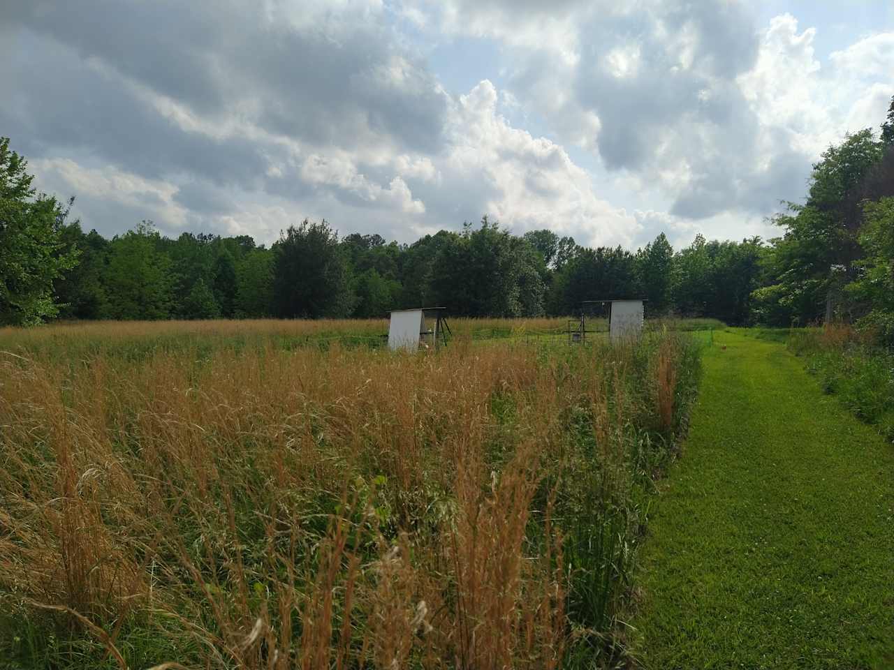 chicken coops on pasture
